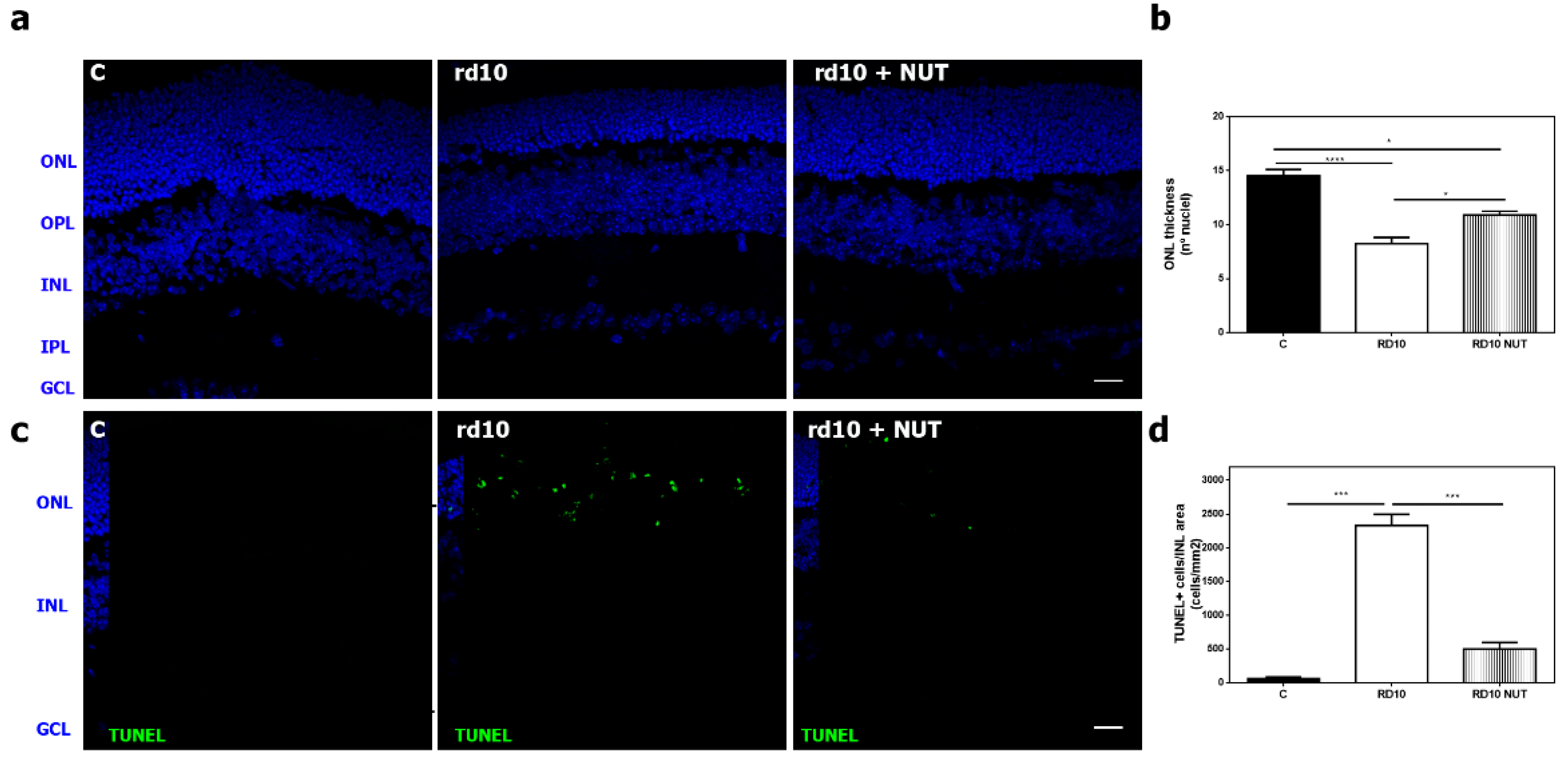 Antioxidants 10 01033 g002