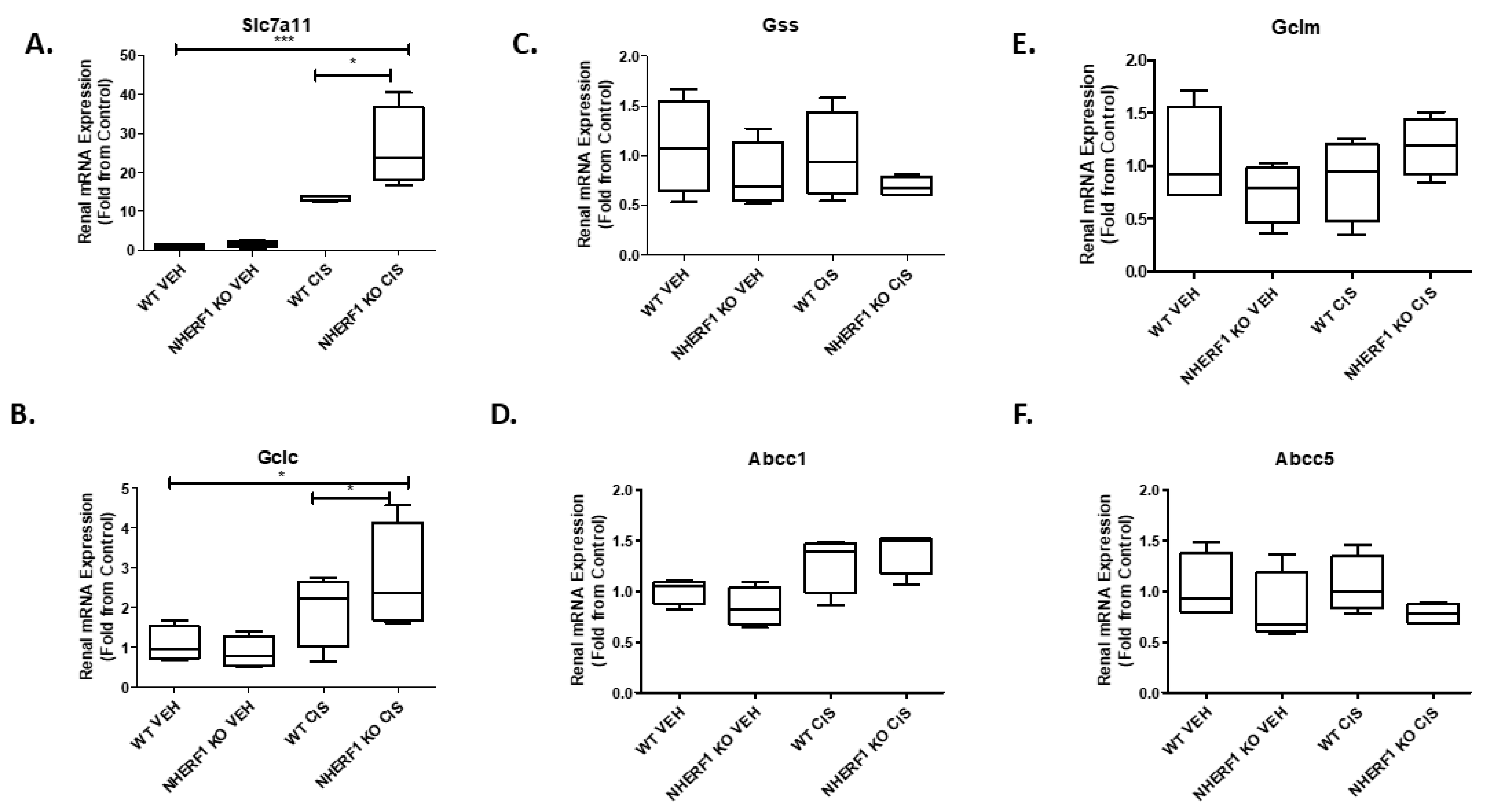Antioxidants 10 01036 g005