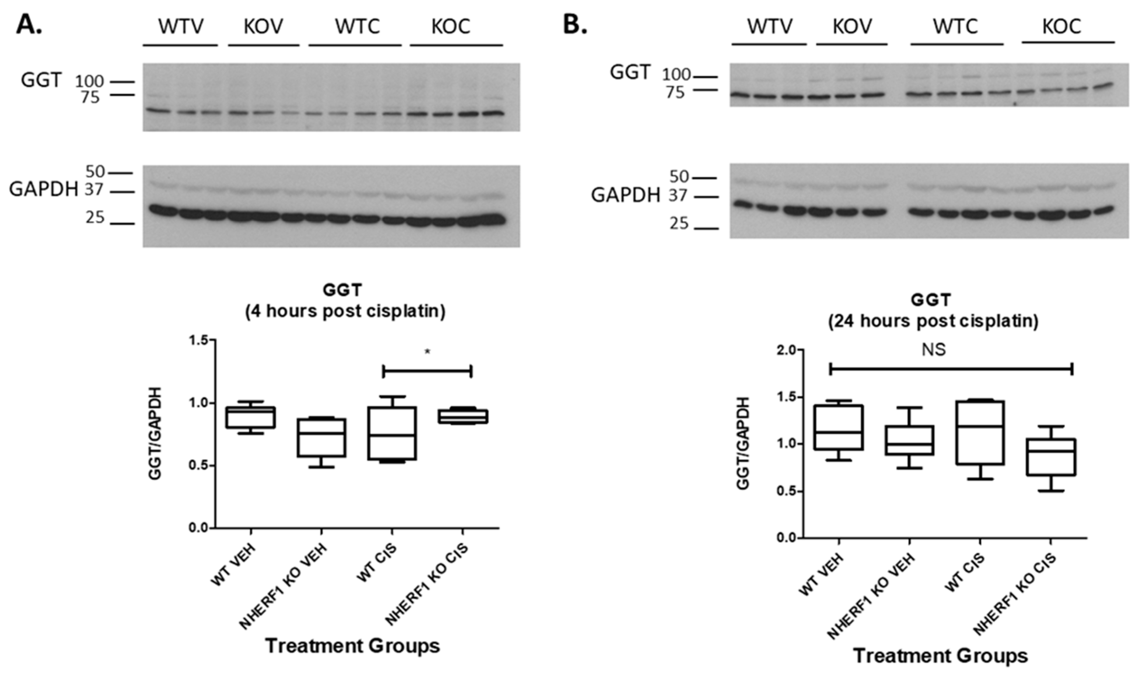 Antioxidants 10 01036 g007