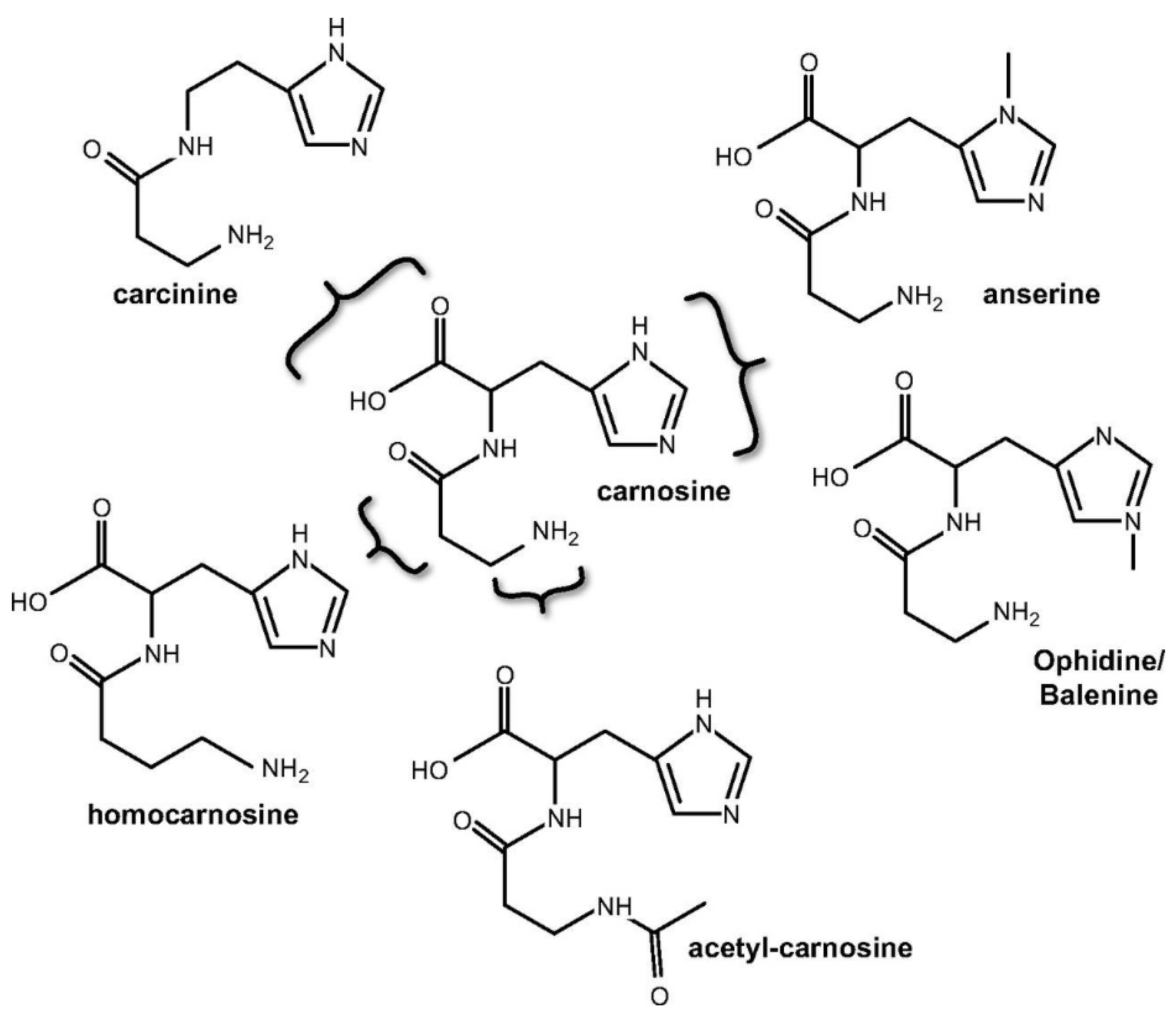 Antioxidants 10 01037 g002