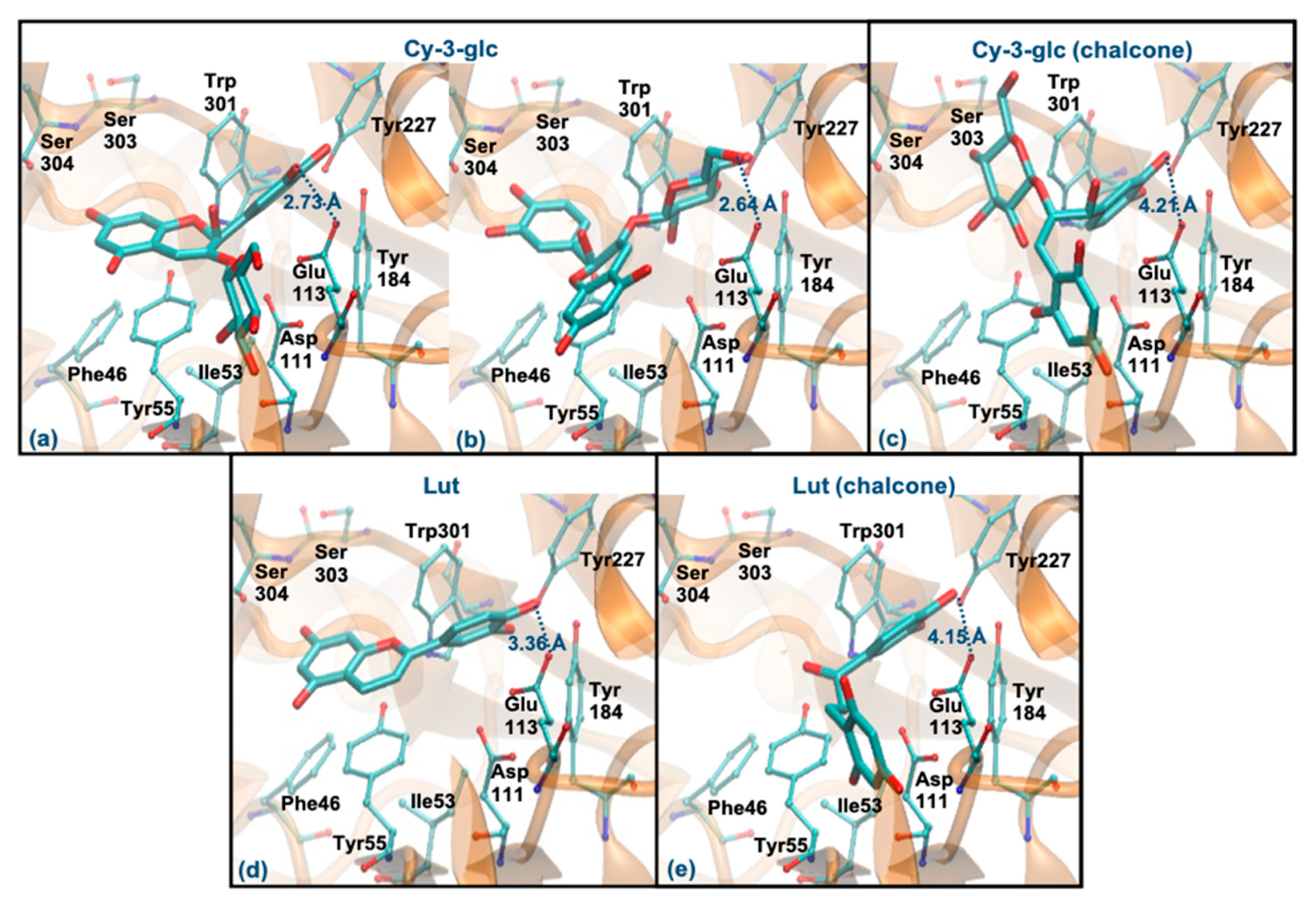 Antioxidants 10 01038 g007