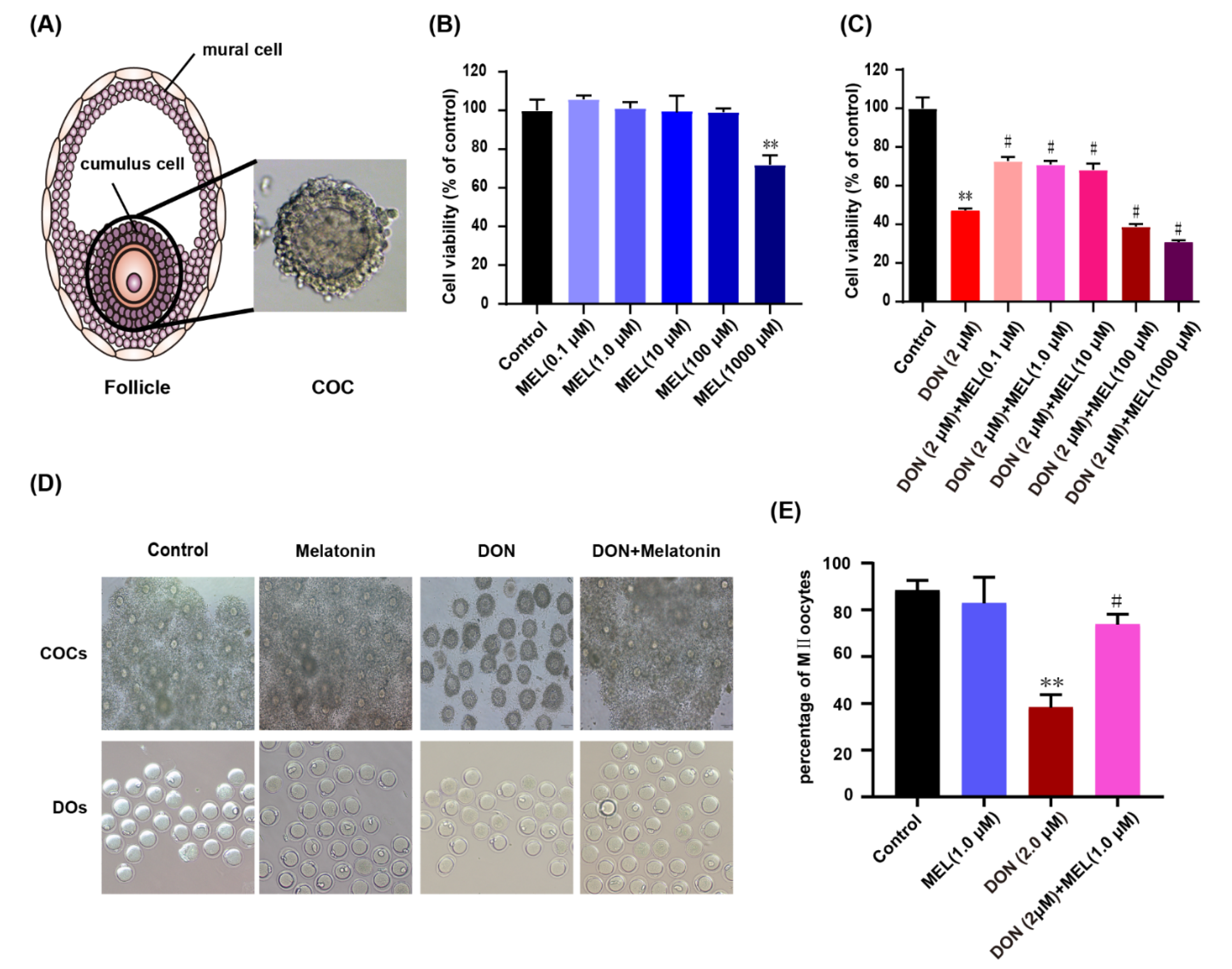 Antioxidants 10 01045 g001 550