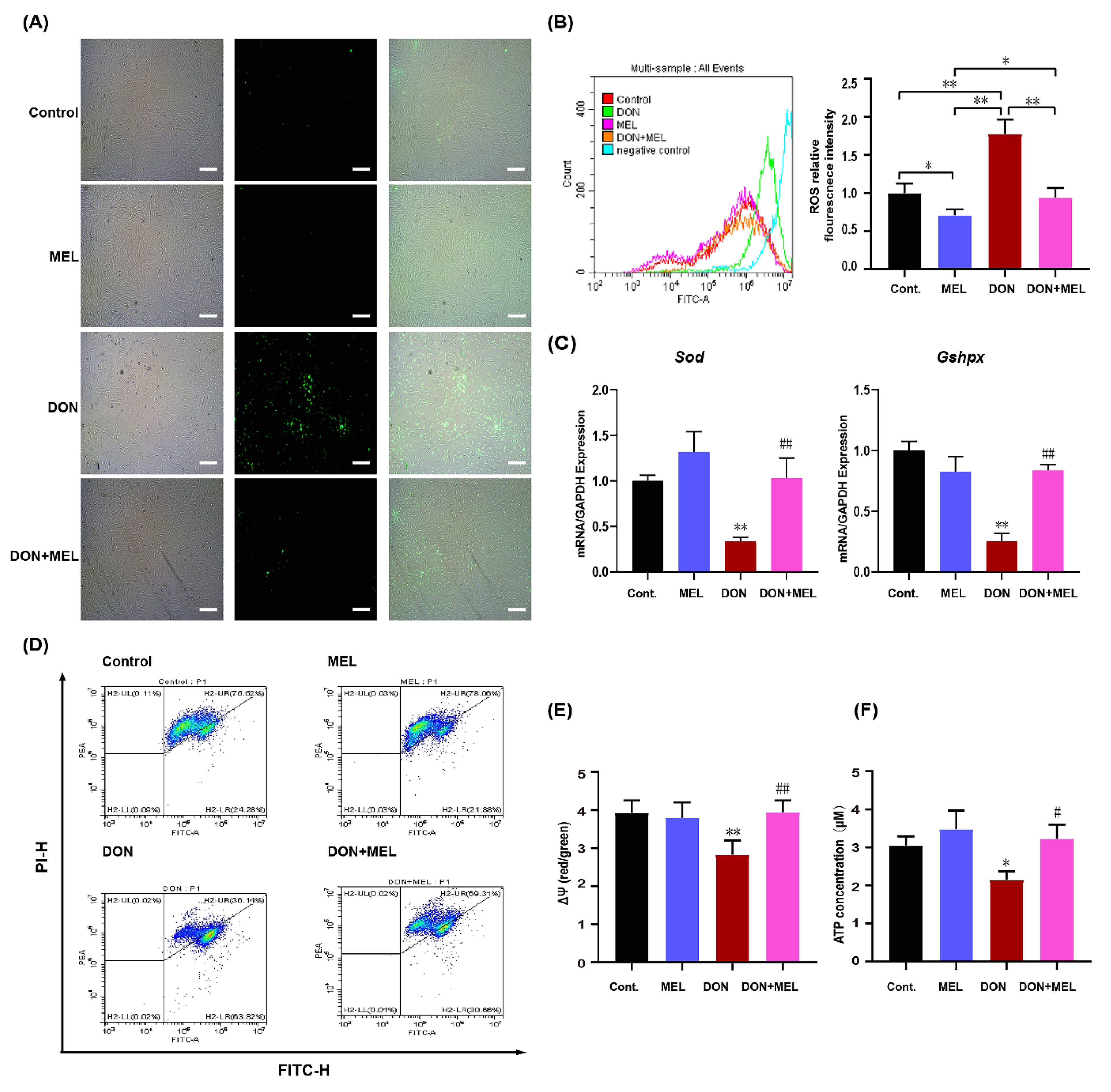 Antioxidants 10 01045 g003 550