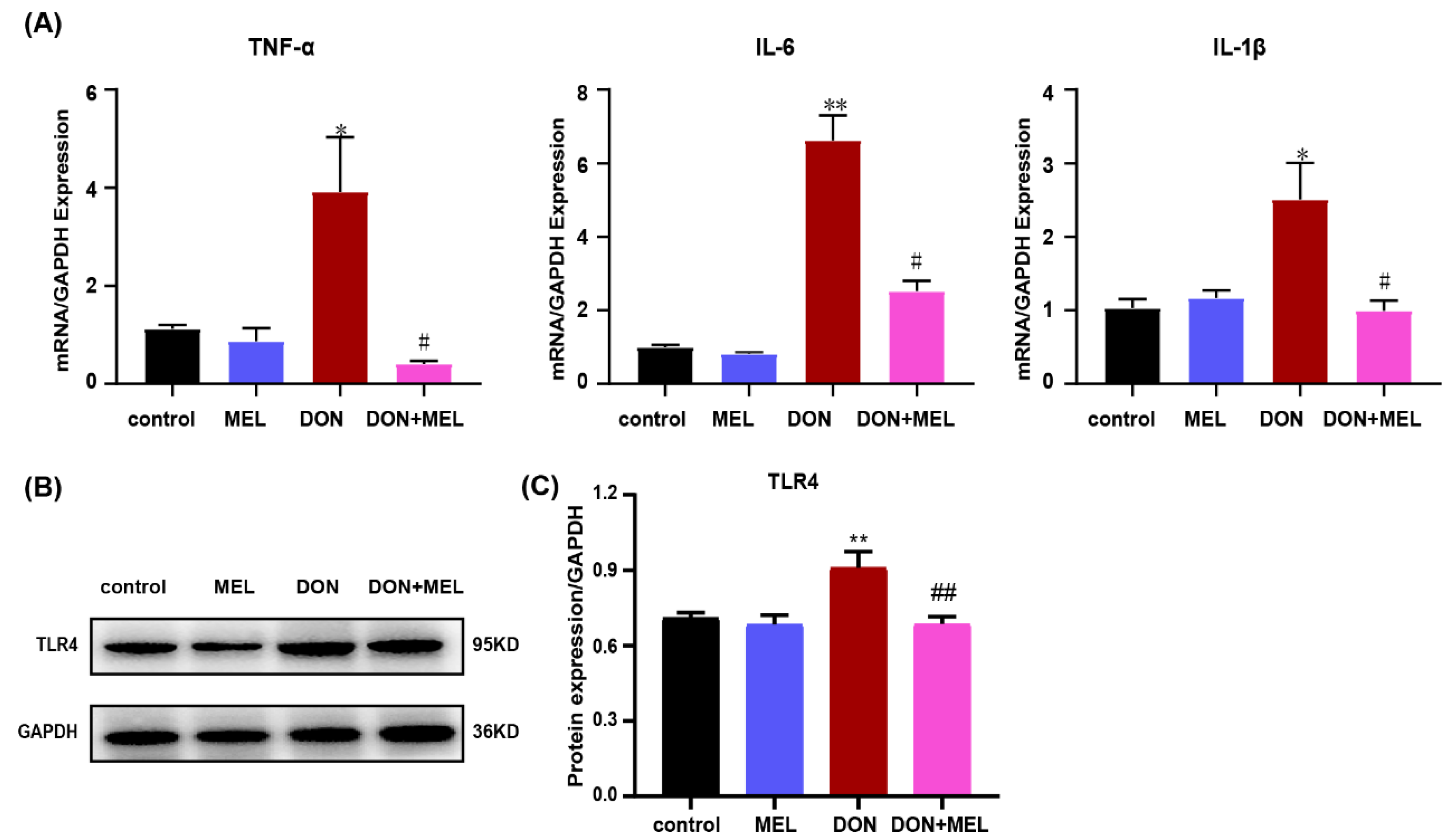 Antioxidants 10 01045 g004 550