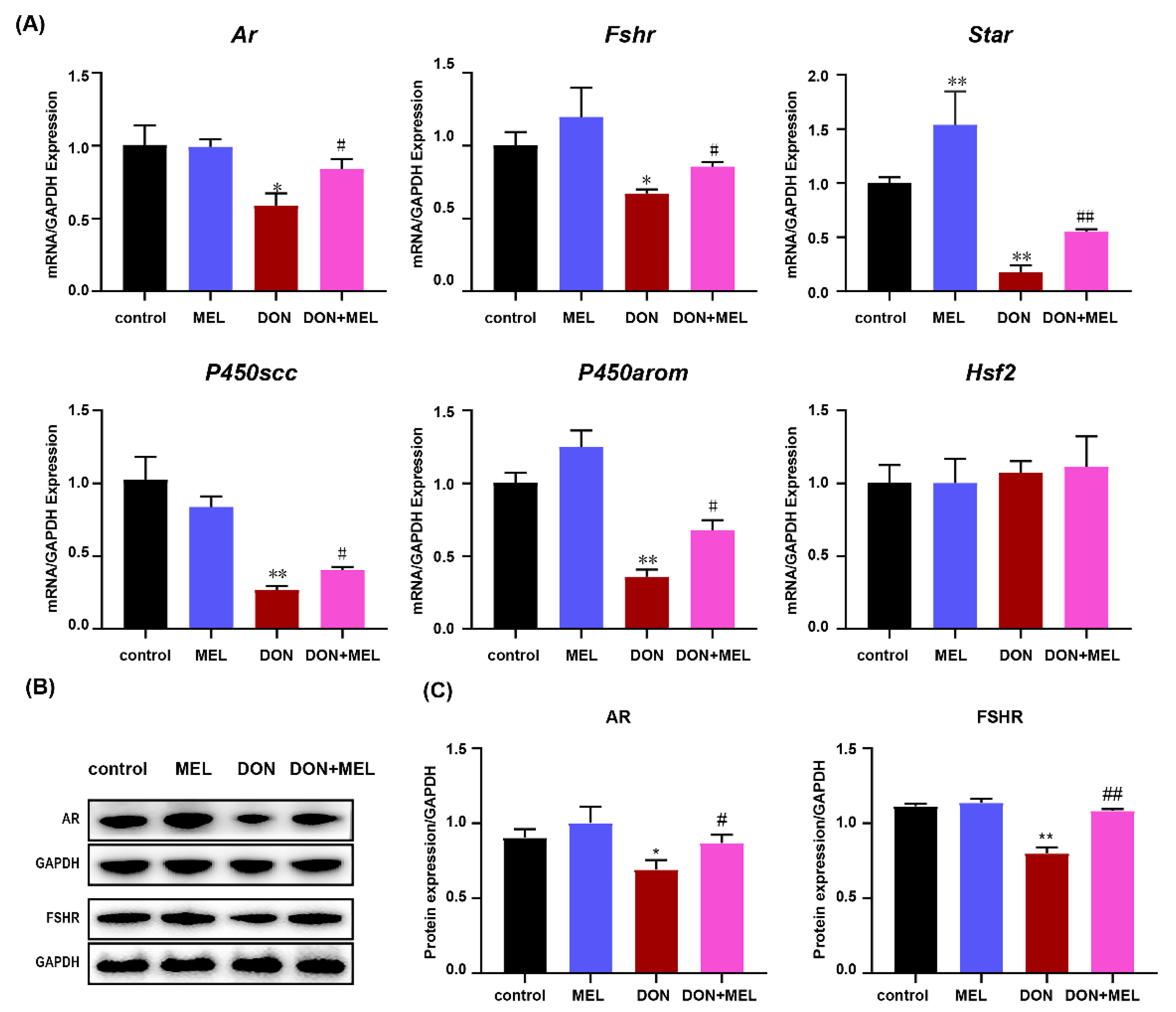 Antioxidants 10 01045 g005 550