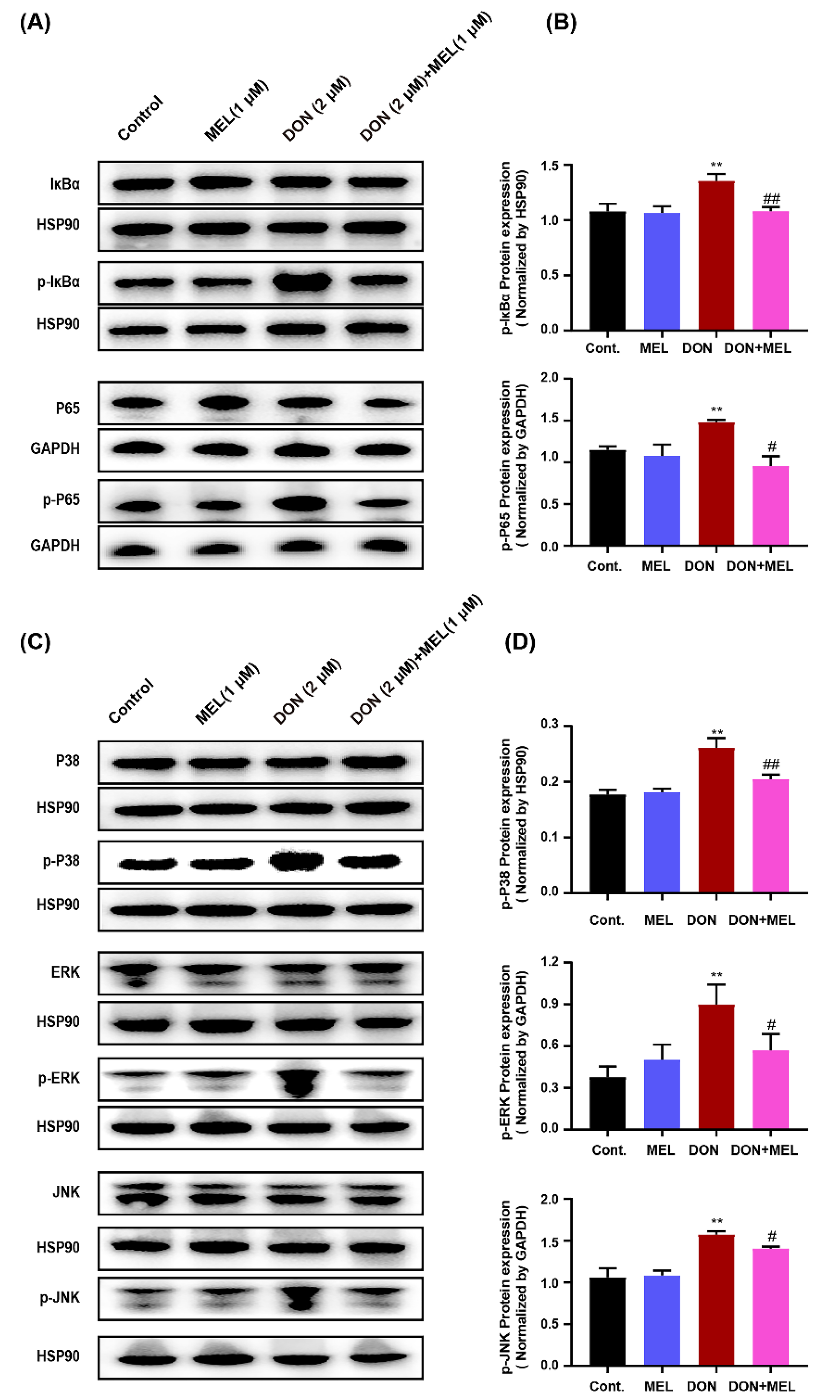 Antioxidants 10 01045 g006 550
