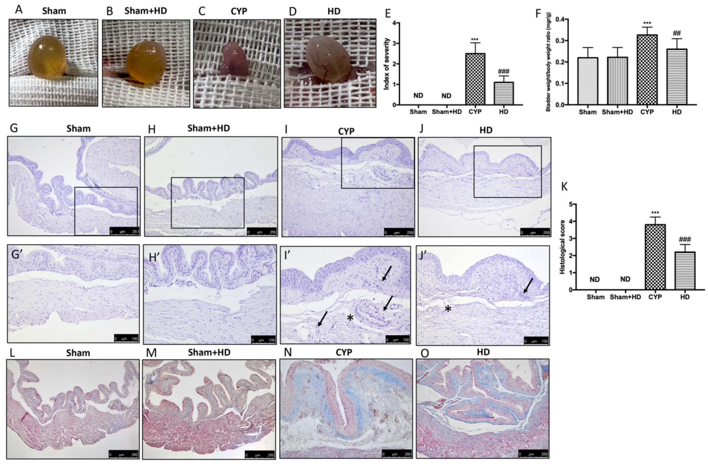 Antioxidants 10 01046 g001