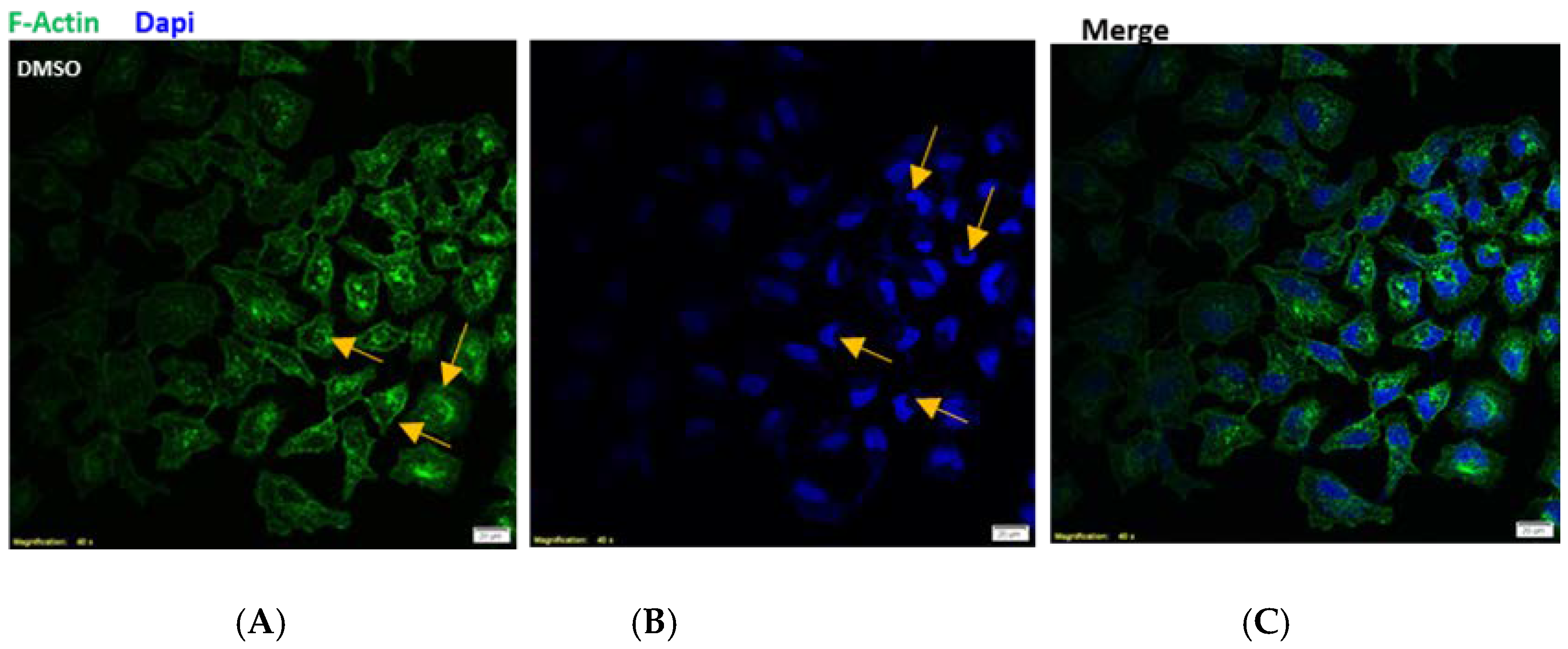 Antioxidants 10 01051 g004a 550