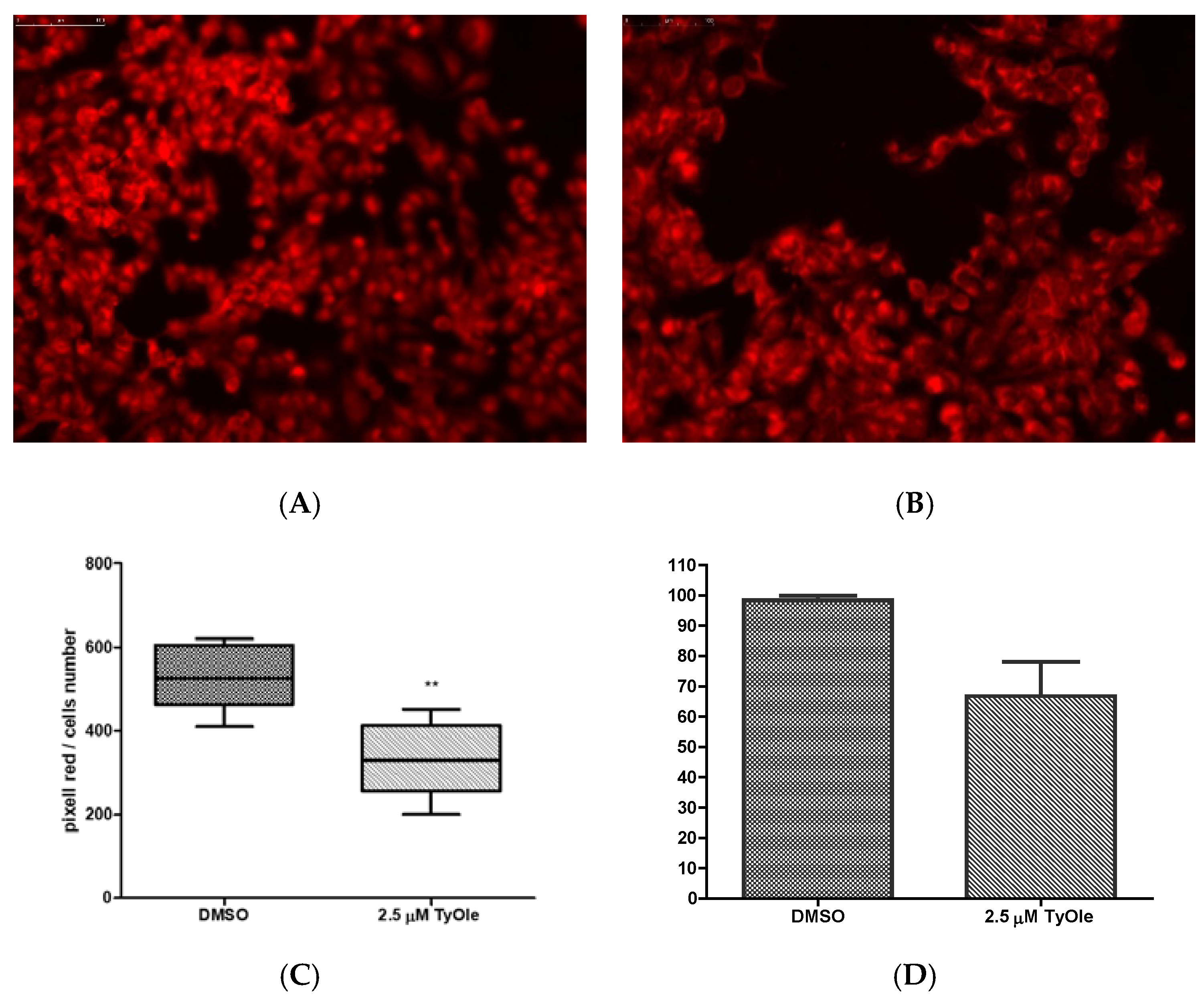 Antioxidants 10 01051 g005 550