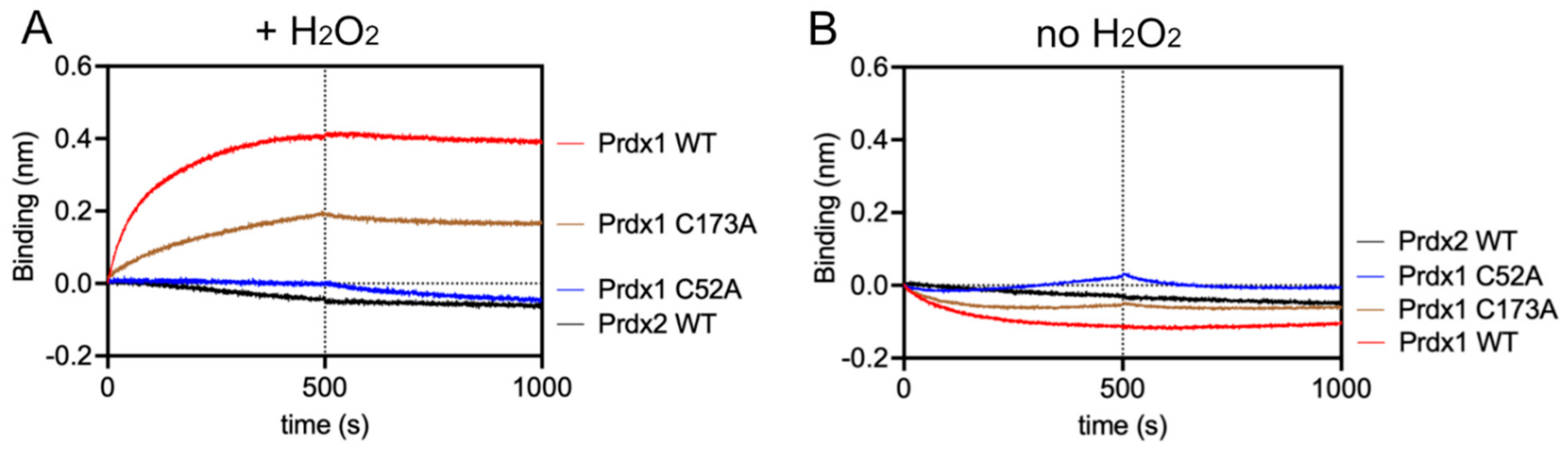 Antioxidants 10 01060 g004 550