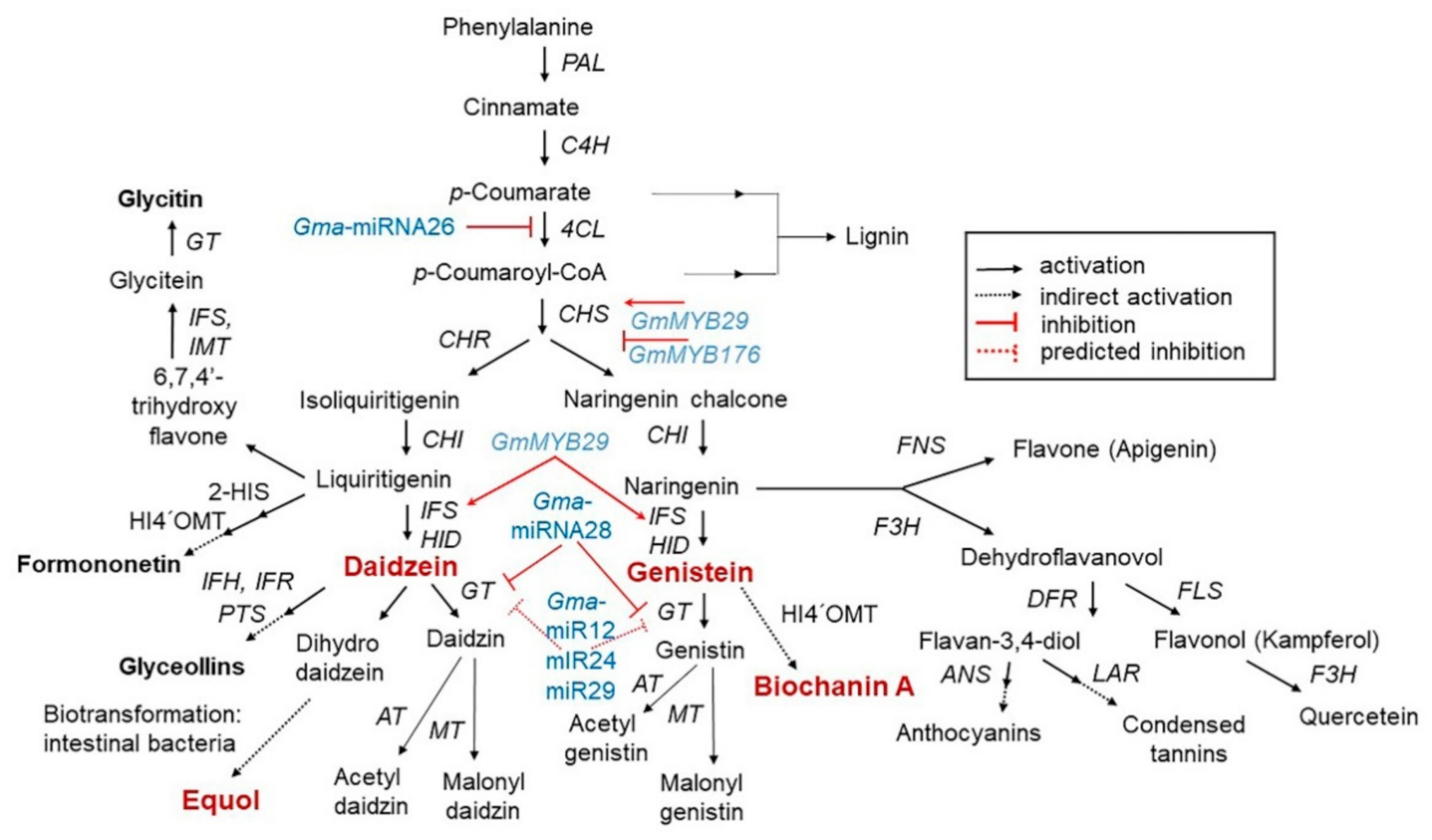 Antioxidants 10 01064 g001 Antioxidants 10 01064 g001