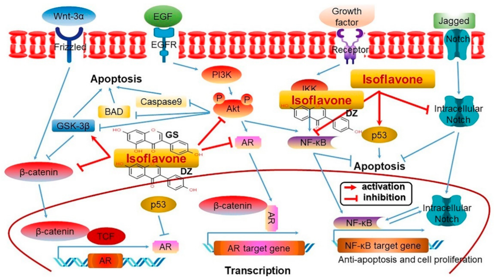 Antioxidants 10 01064 g009 Antioxidants 10 01064 g009