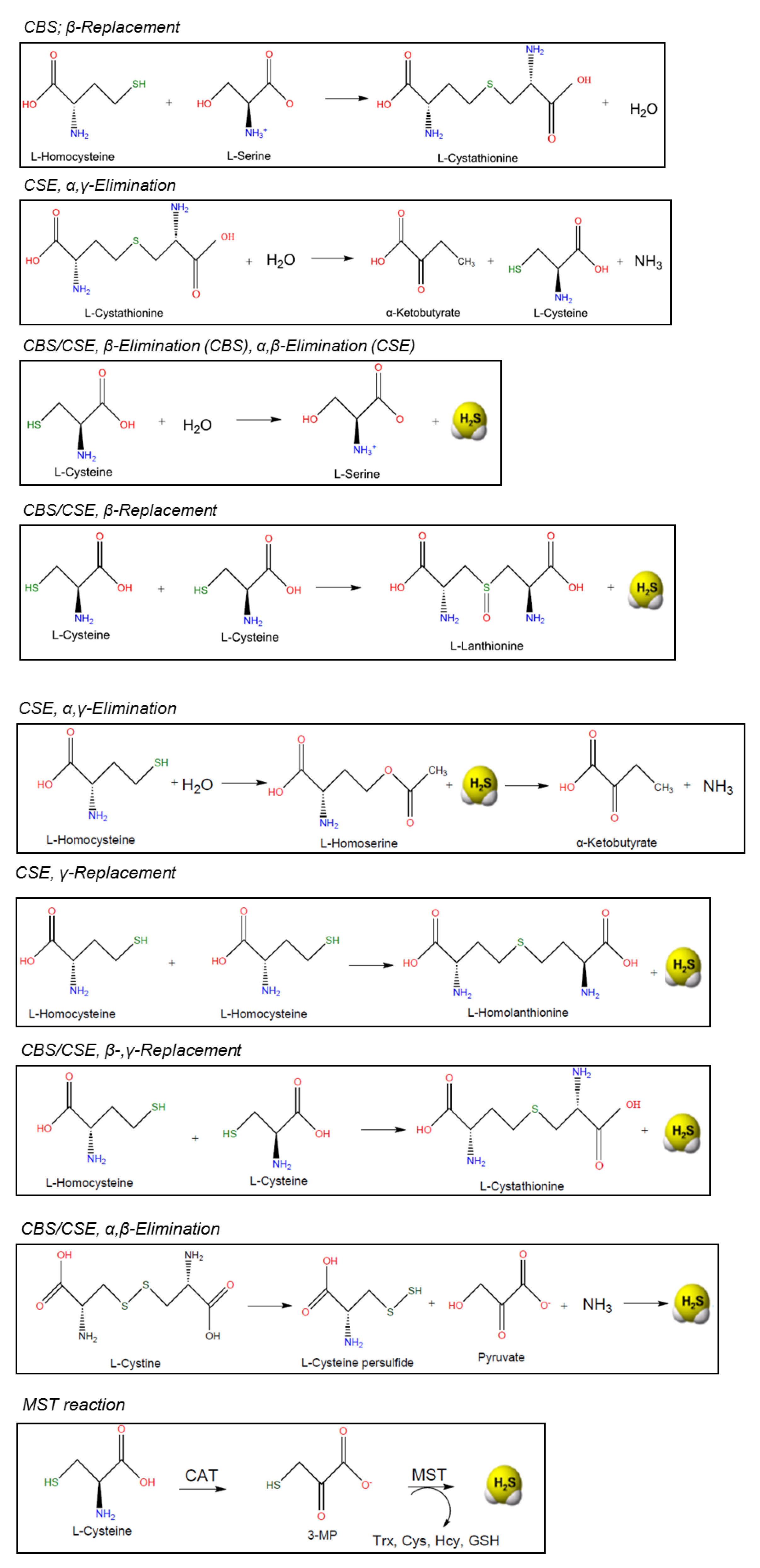 Antioxidants 10 01065 g004 Antioxidants 10 01065 g004