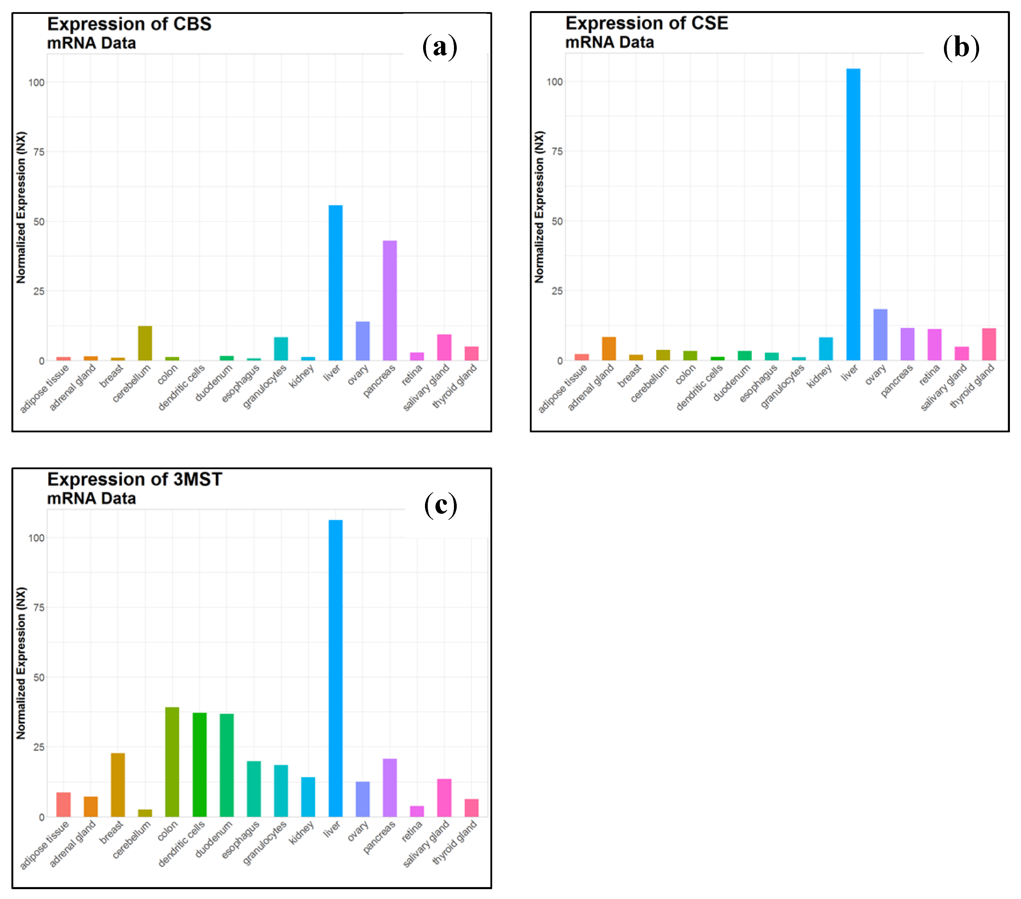 Antioxidants 10 01065 g005 Antioxidants 10 01065 g005