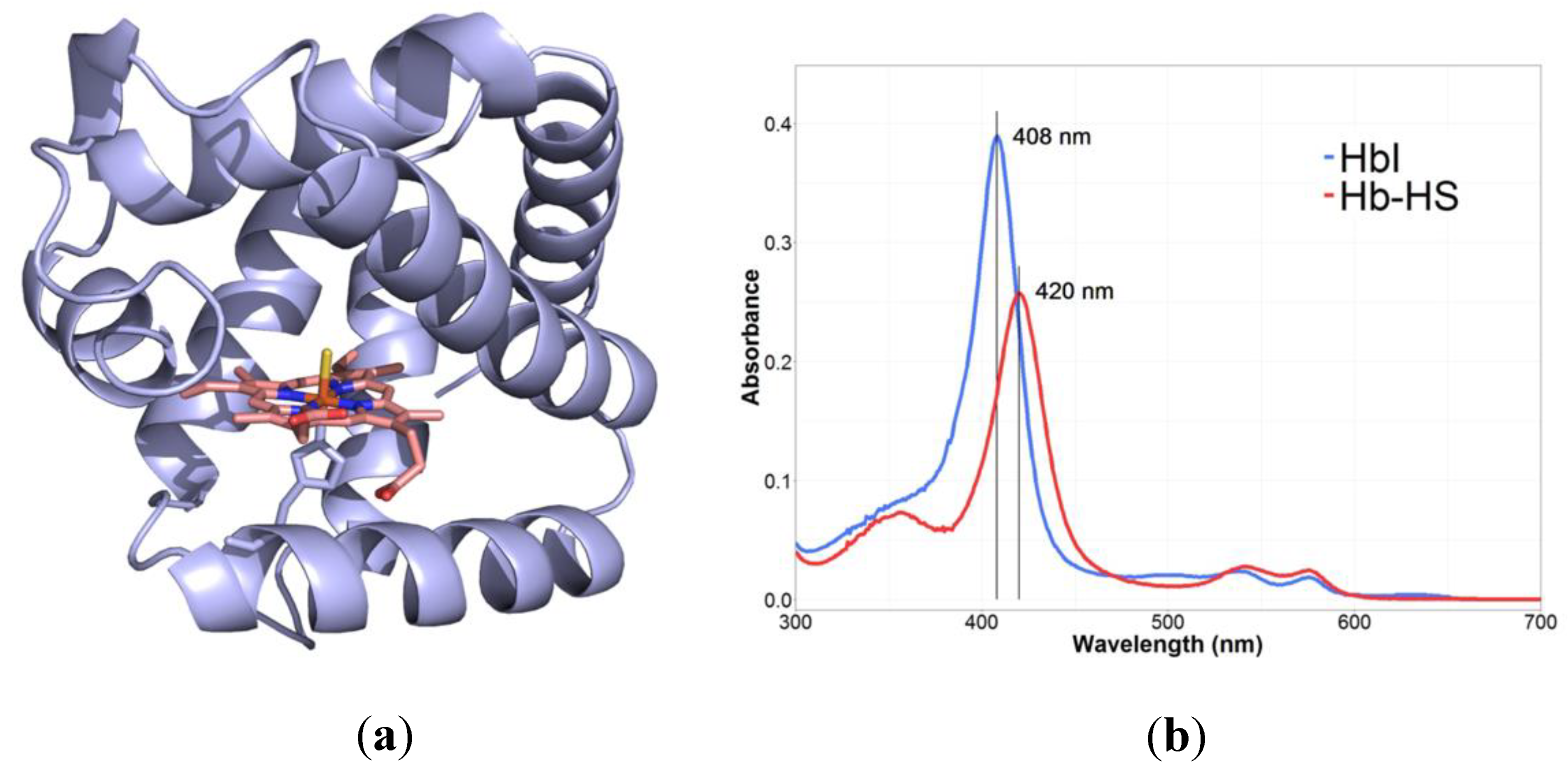 Antioxidants 10 01065 g008 Antioxidants 10 01065 g008