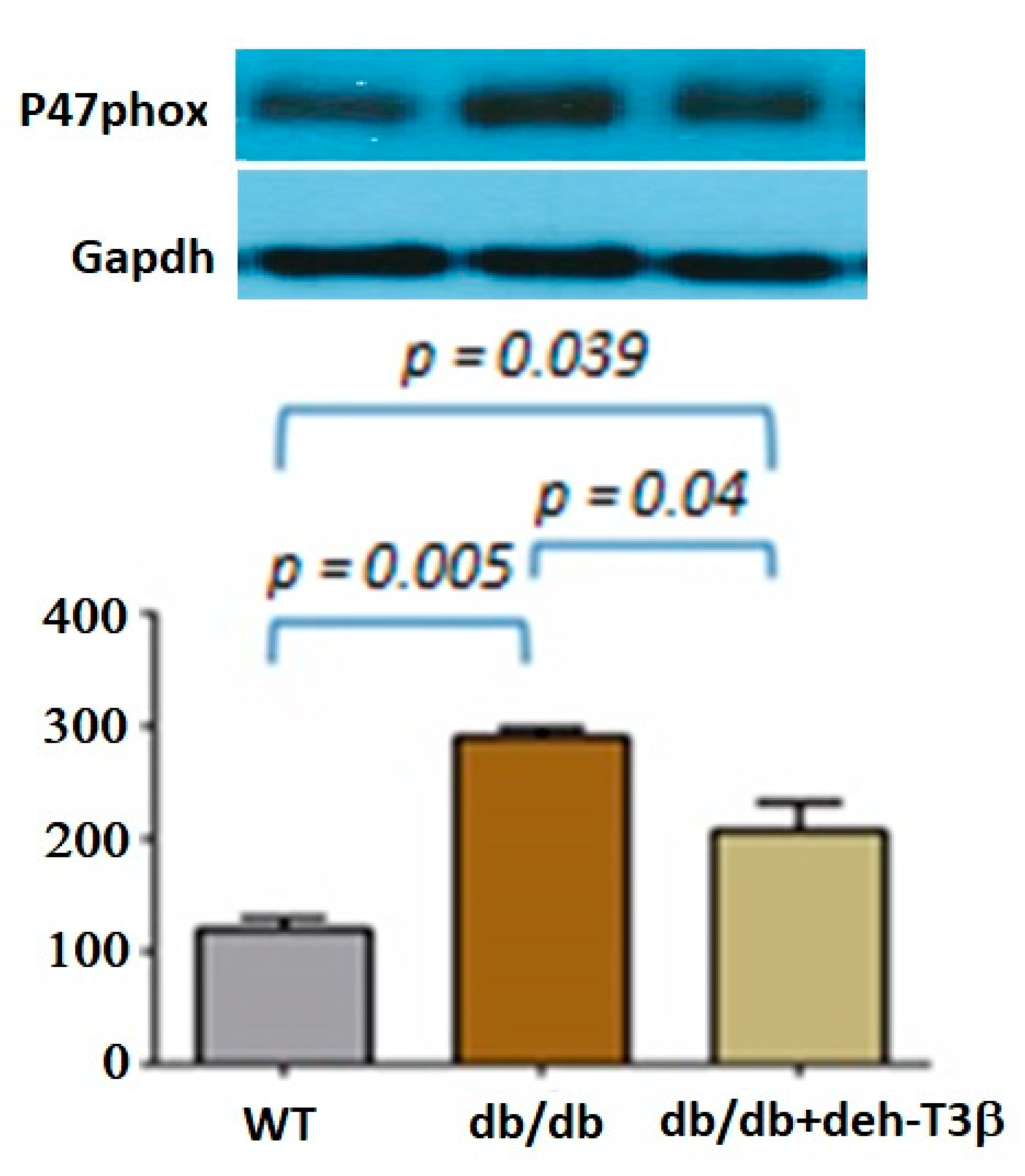 Antioxidants 10 01070 g008 550