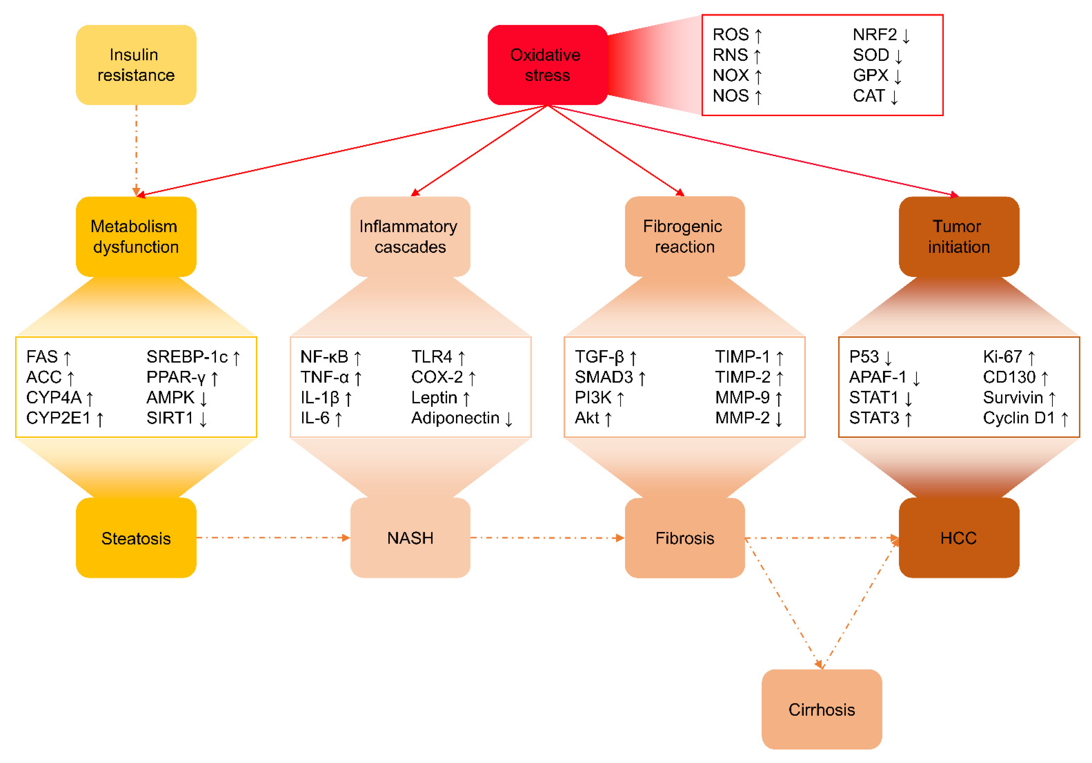 Antioxidants 10 01076 g002