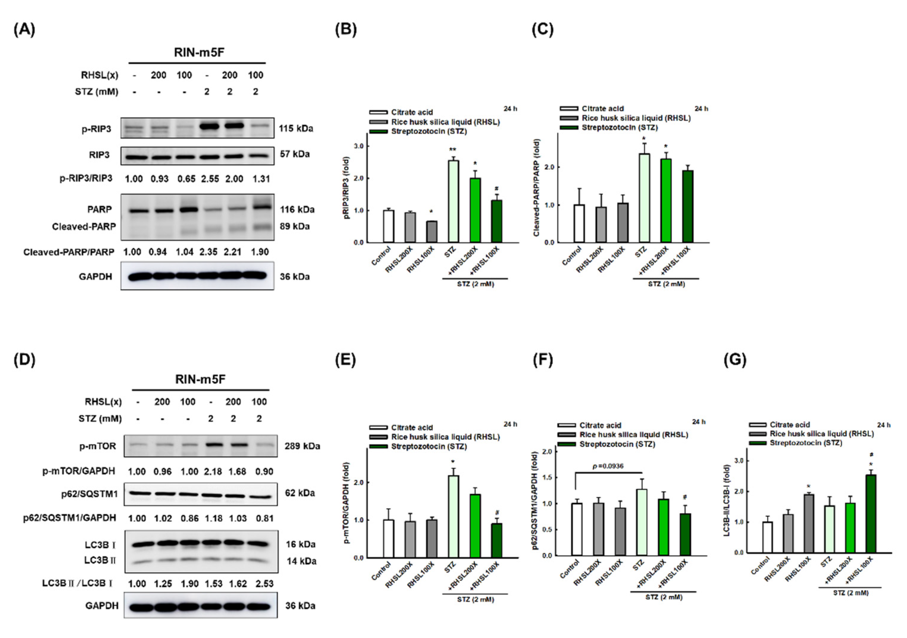Antioxidants 10 01080 g003 550