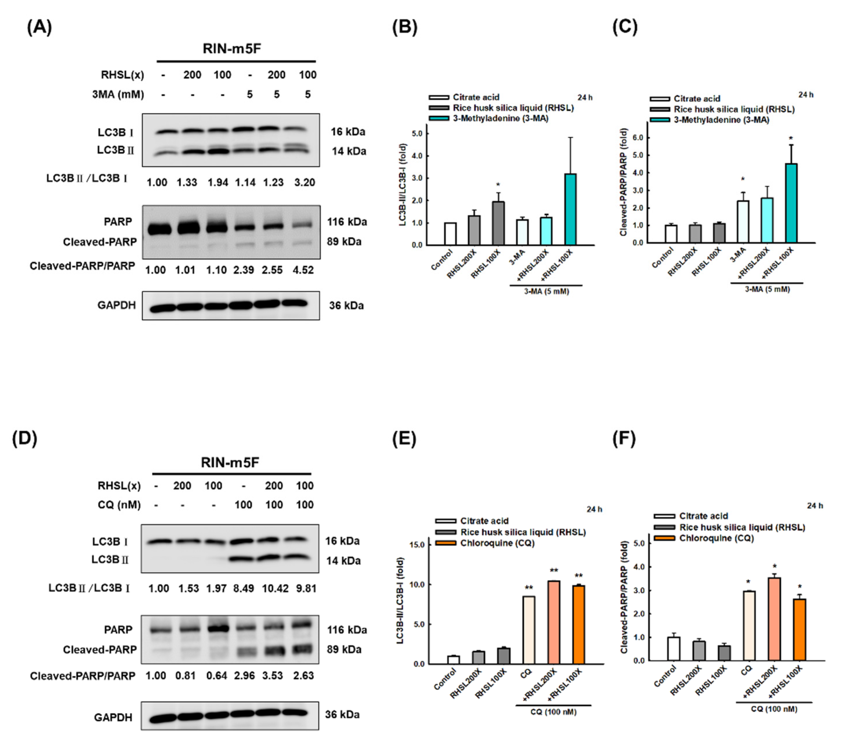 Antioxidants 10 01080 g005 550