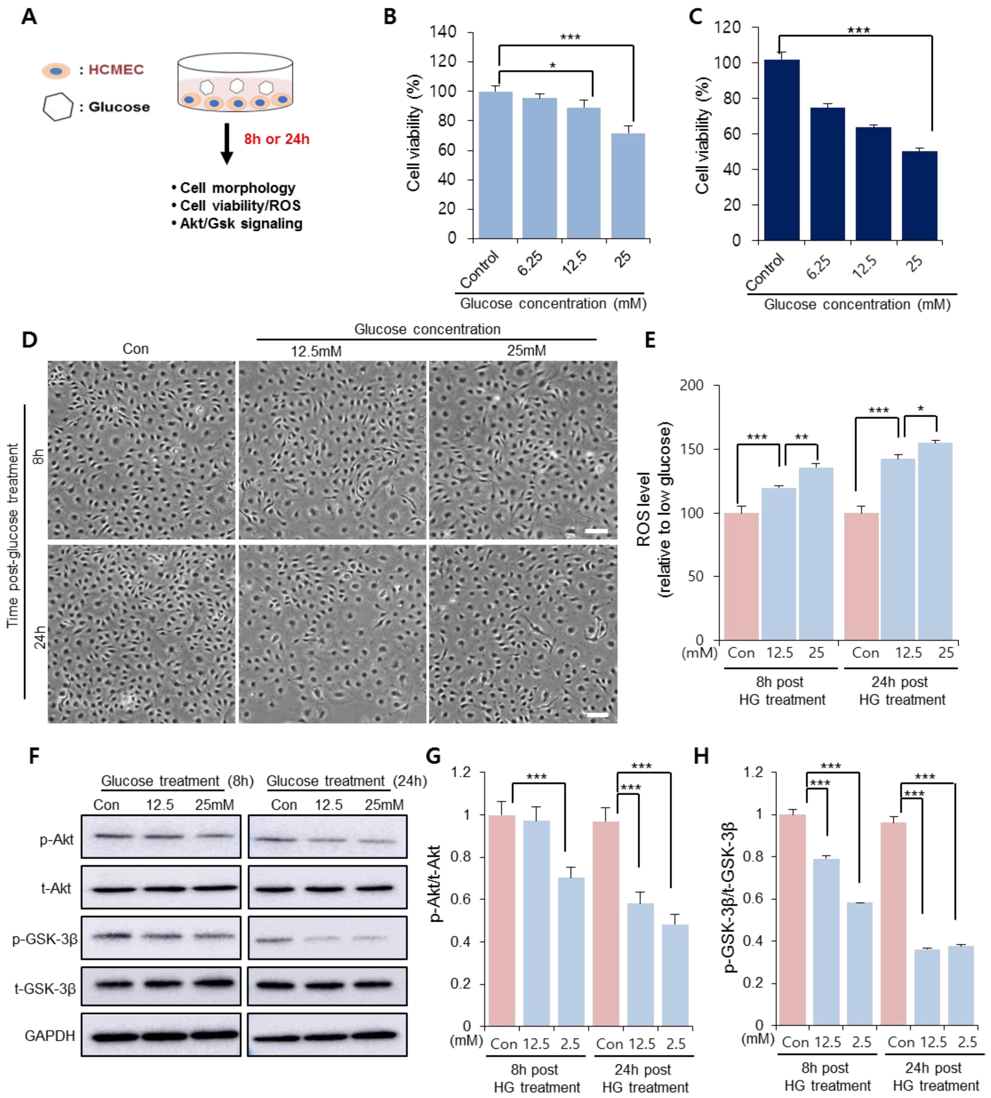 Antioxidants 10 01084 g001