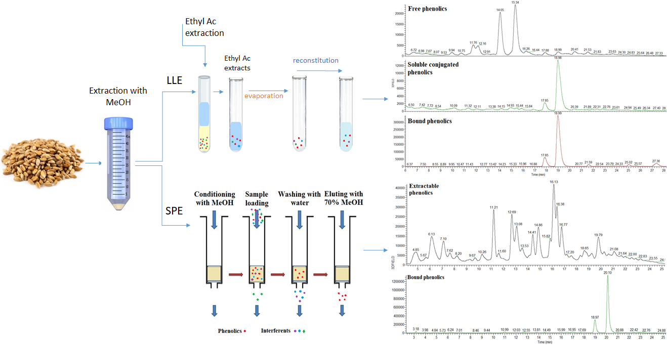 Antioxidants Free FullText Development and Optimisation of Solid