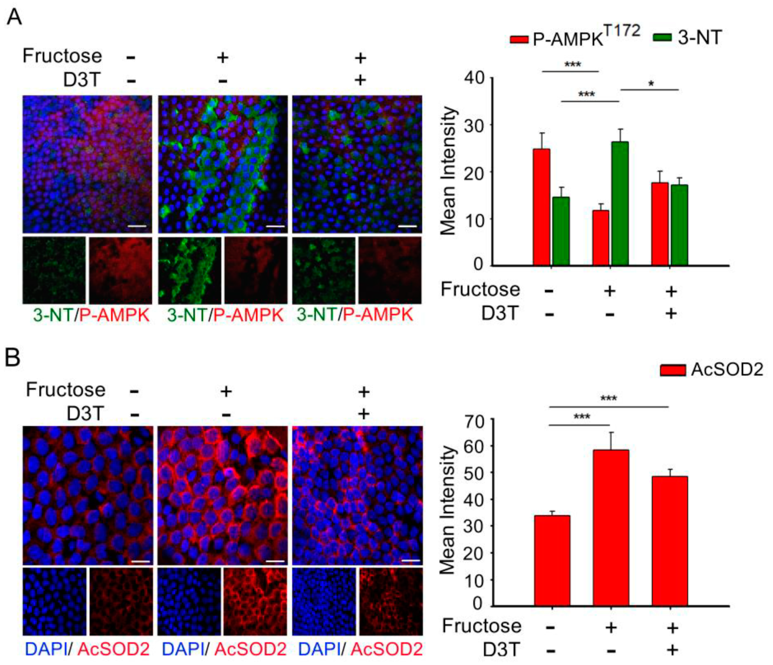 Antioxidants 10 01086 g003