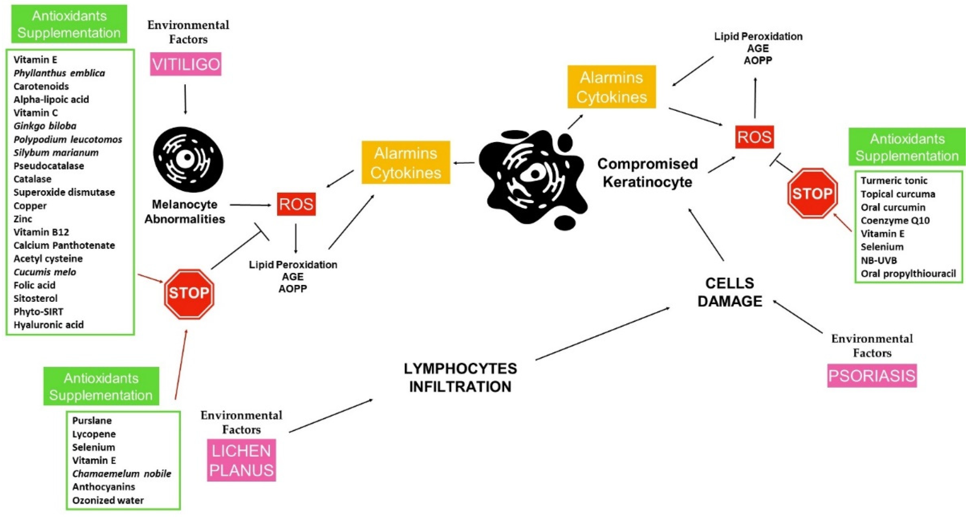 best antioxidants for psoriasis hóna alatt piros folt viszket fotó