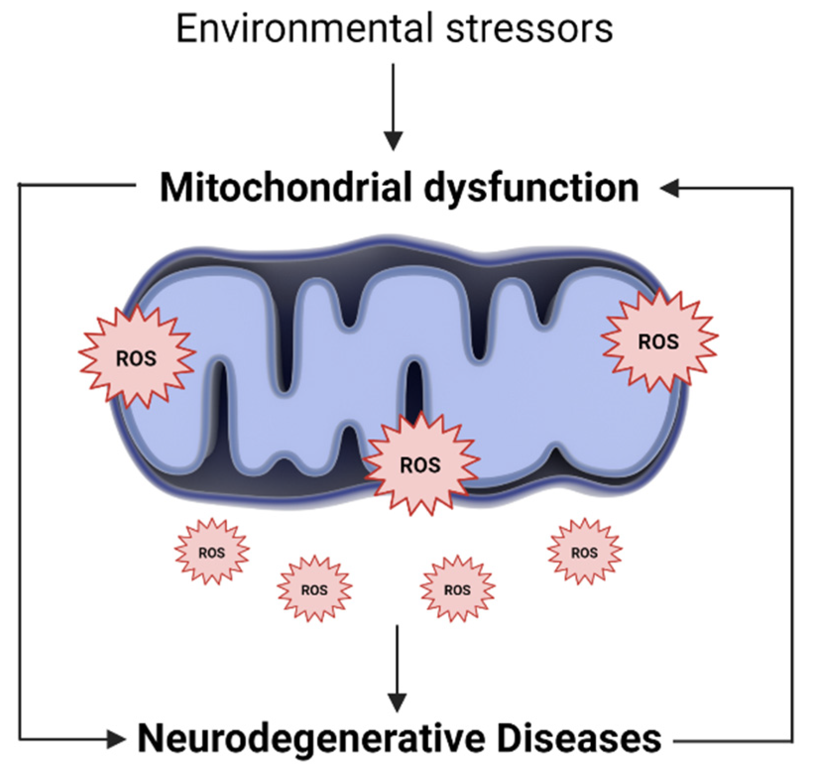 Antioxidants 10 01088 g001
