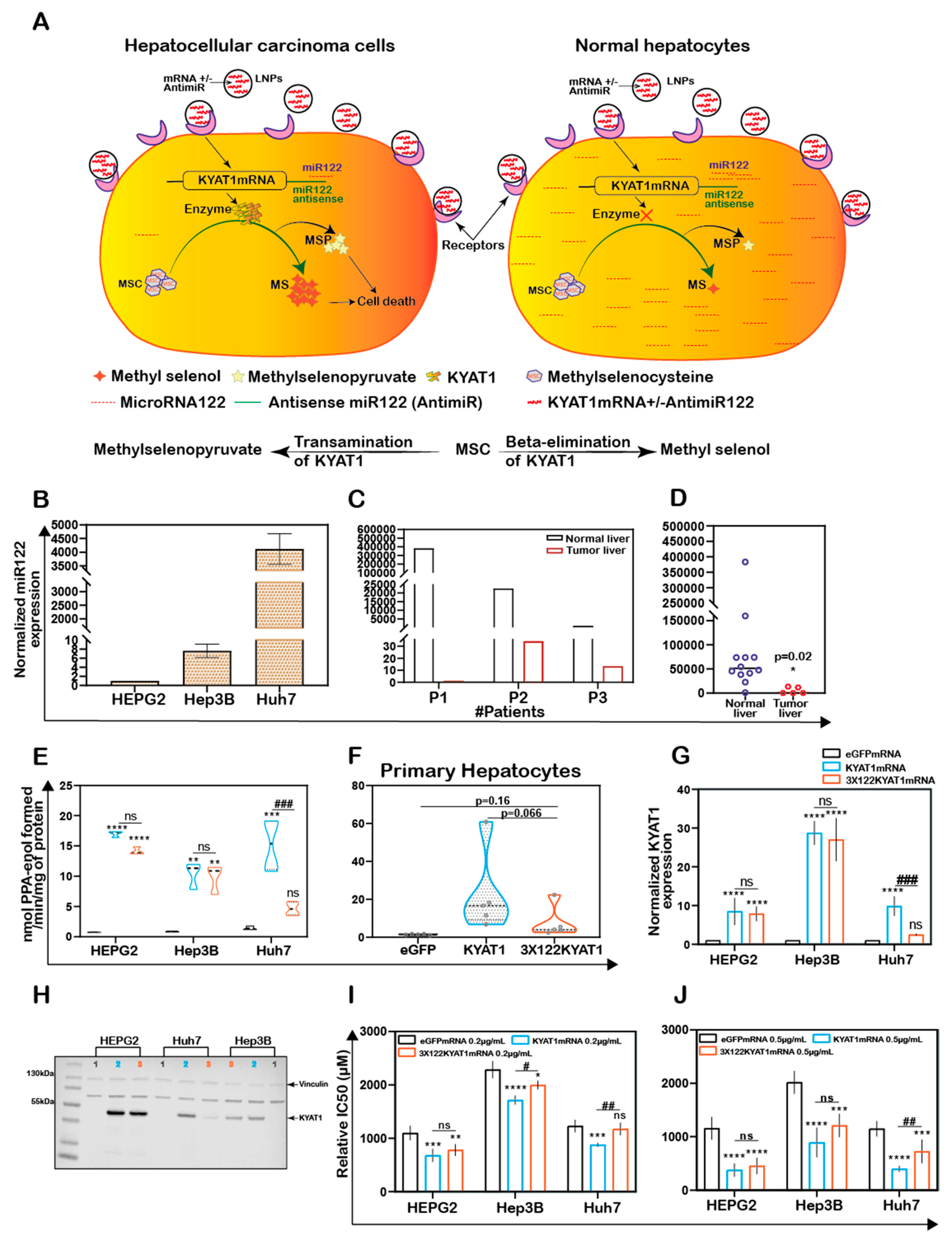 Antioxidants 10 01094 g005