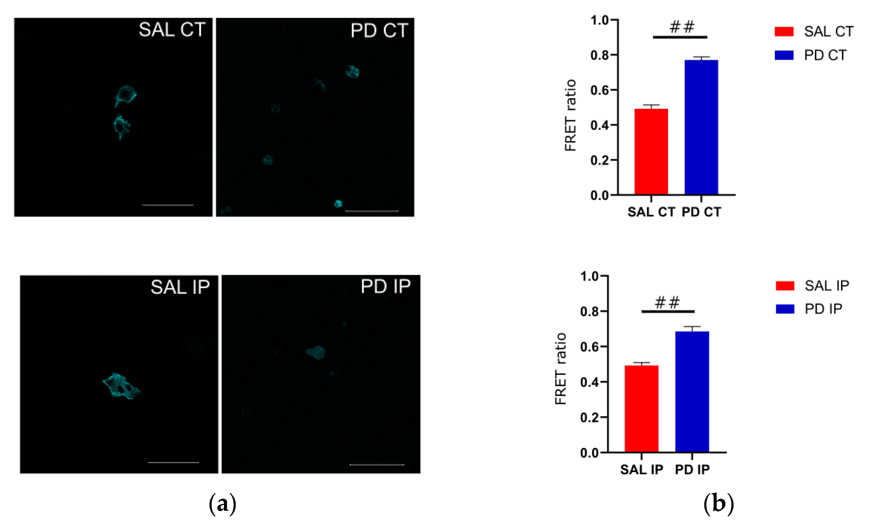 Antioxidants 10 01095 g008