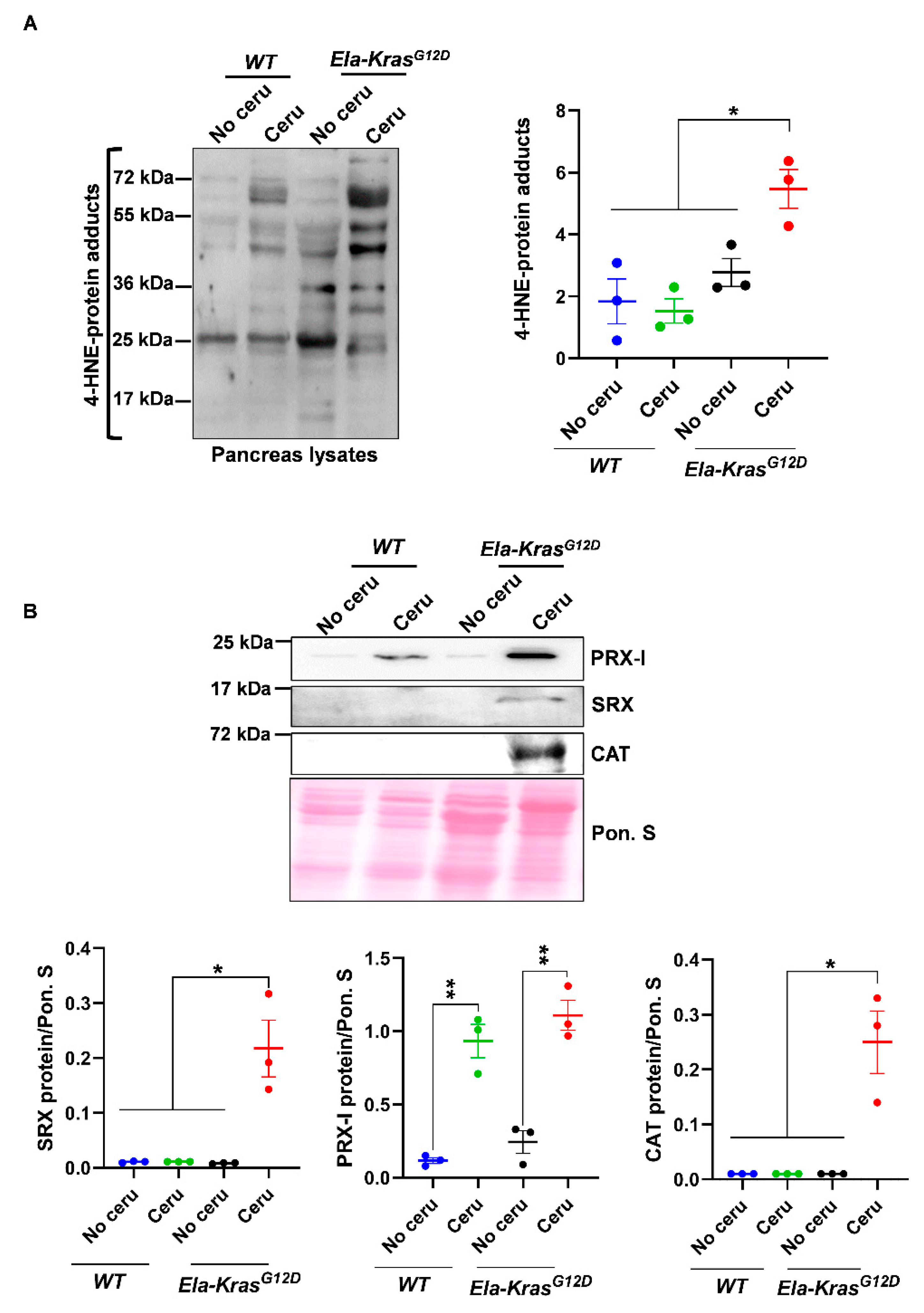 Antioxidants 10 01107 g001 Antioxidants 10 01107 g001