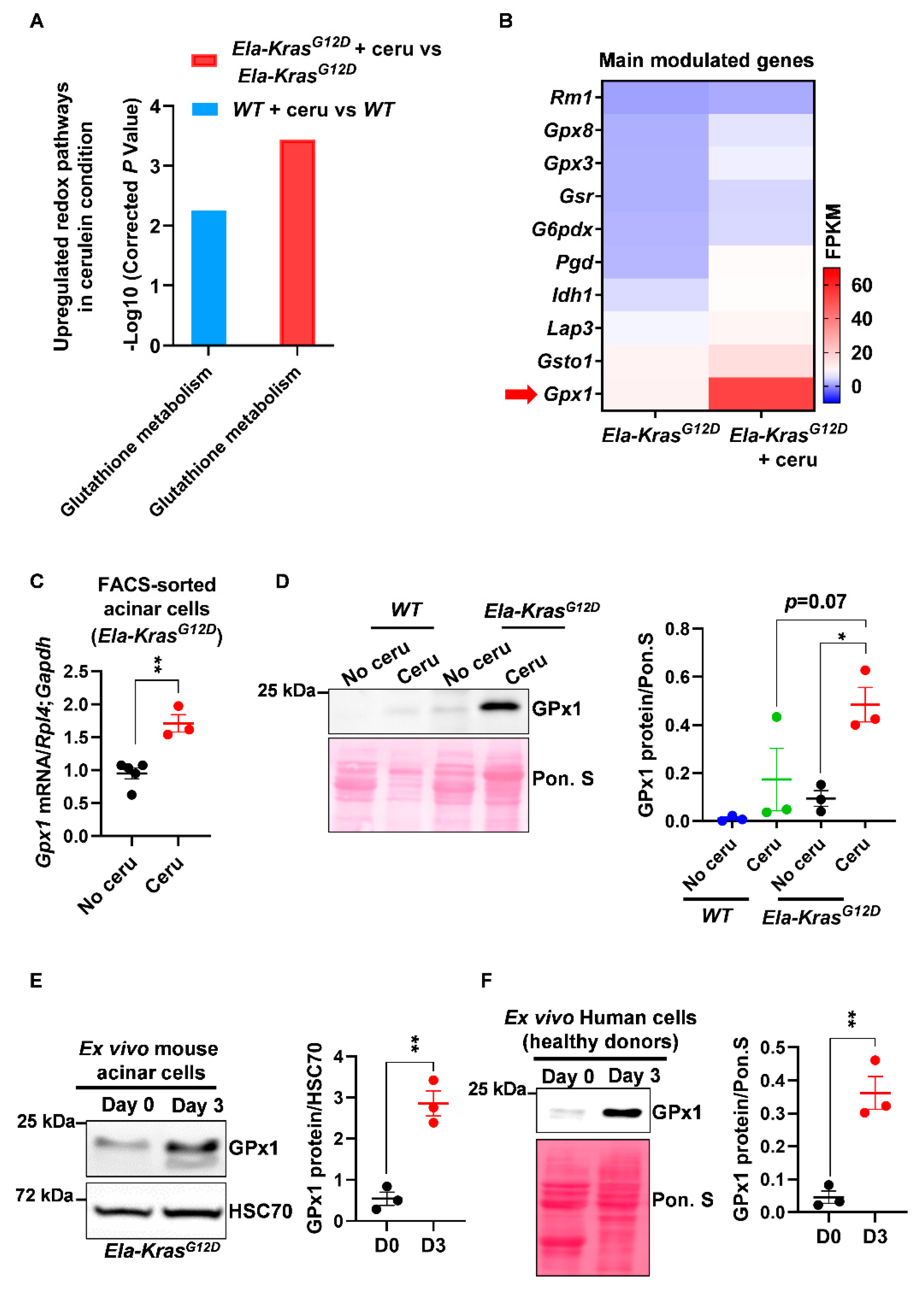 Antioxidants 10 01107 g002 Antioxidants 10 01107 g002