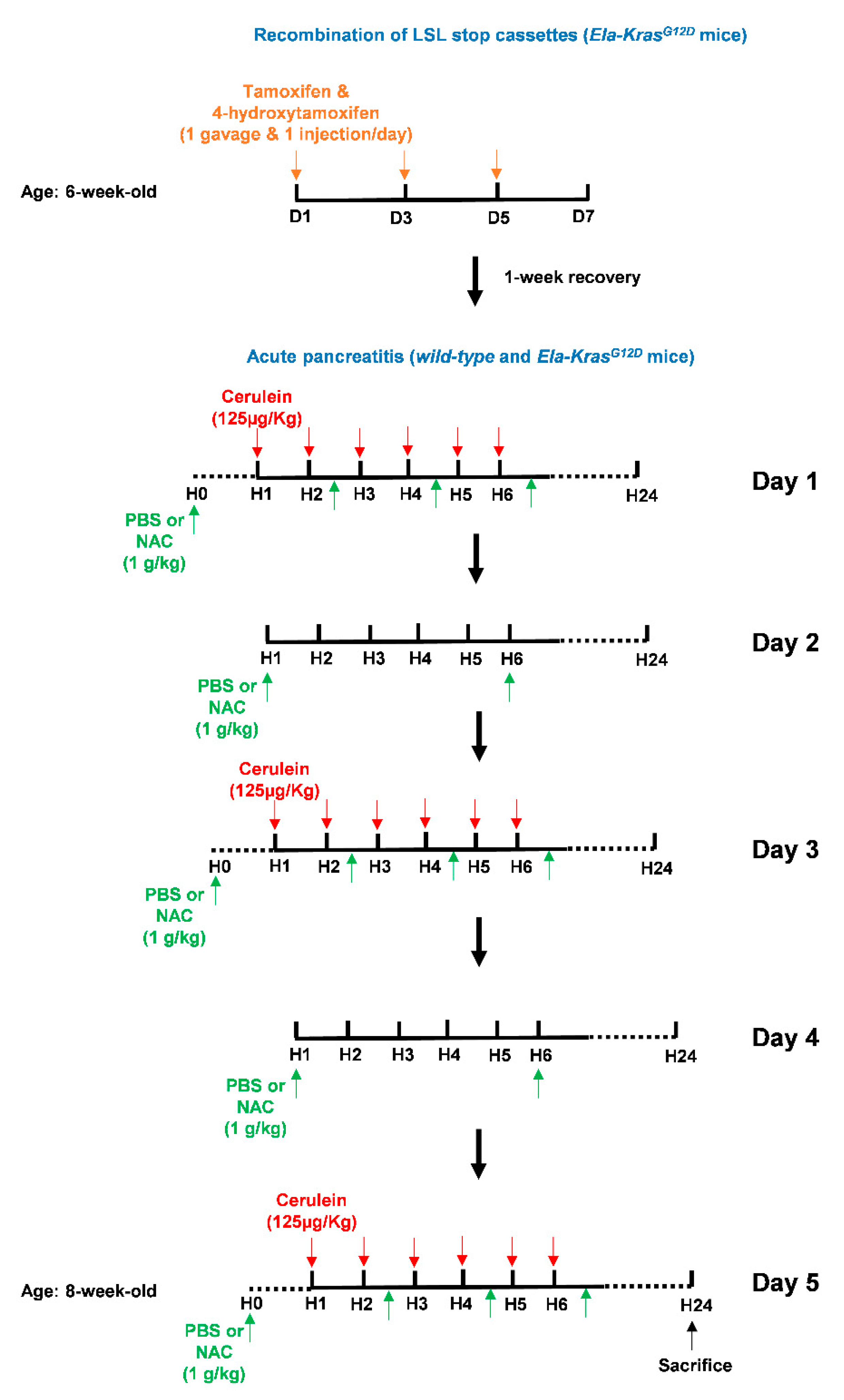 Antioxidants 10 01107 g003 Antioxidants 10 01107 g003