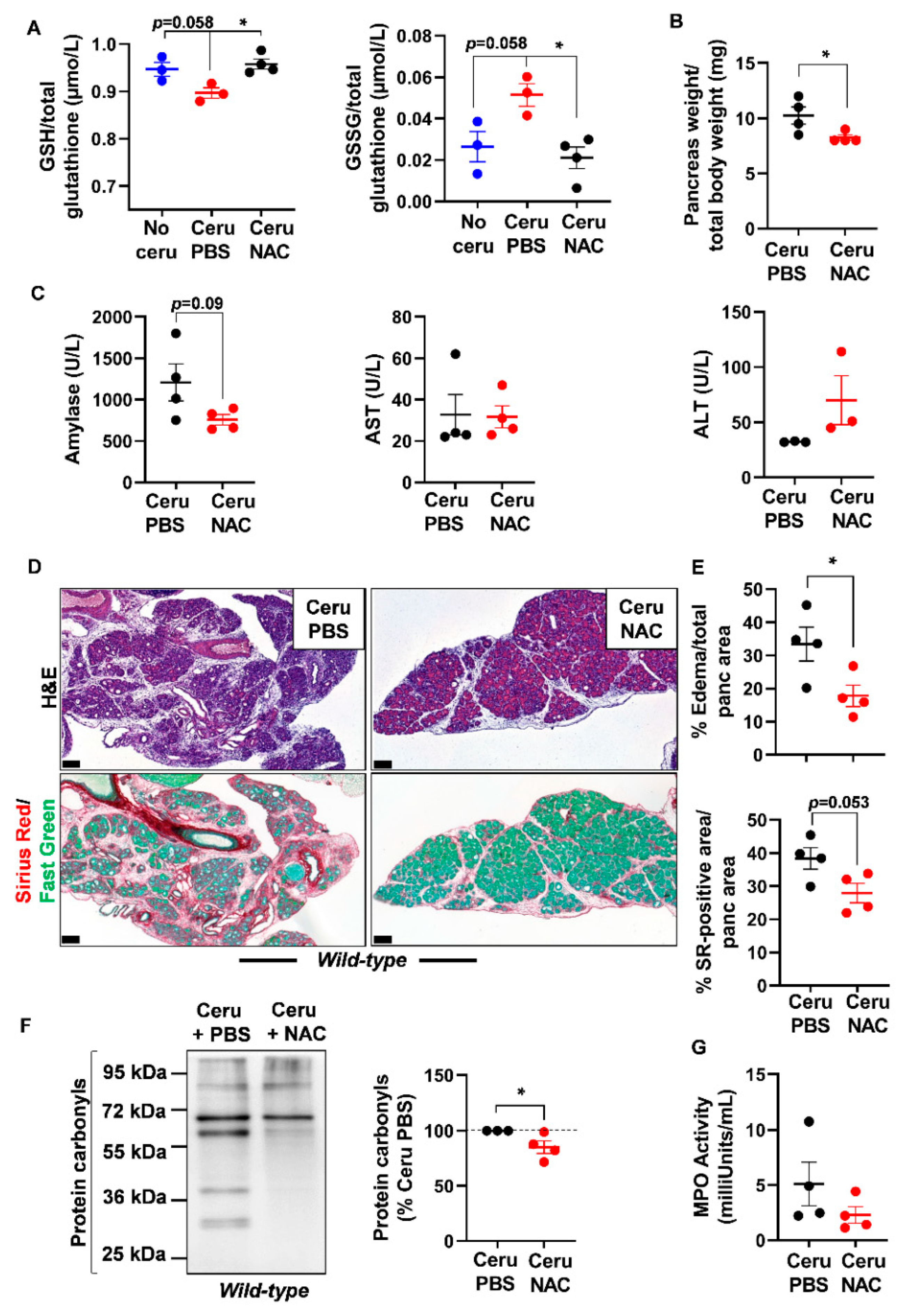 Antioxidants 10 01107 g004 Antioxidants 10 01107 g004
