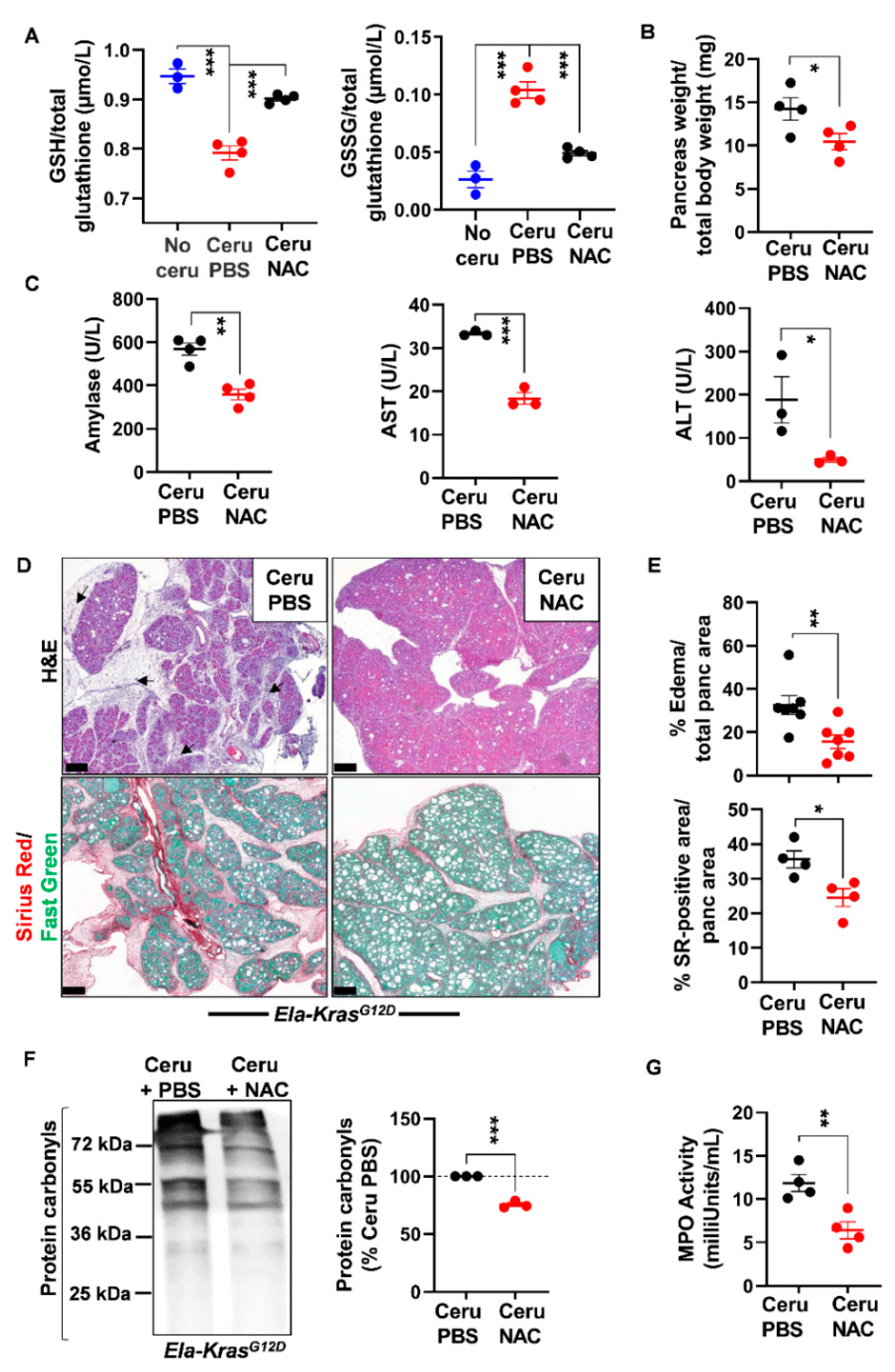 Antioxidants 10 01107 g005 Antioxidants 10 01107 g005