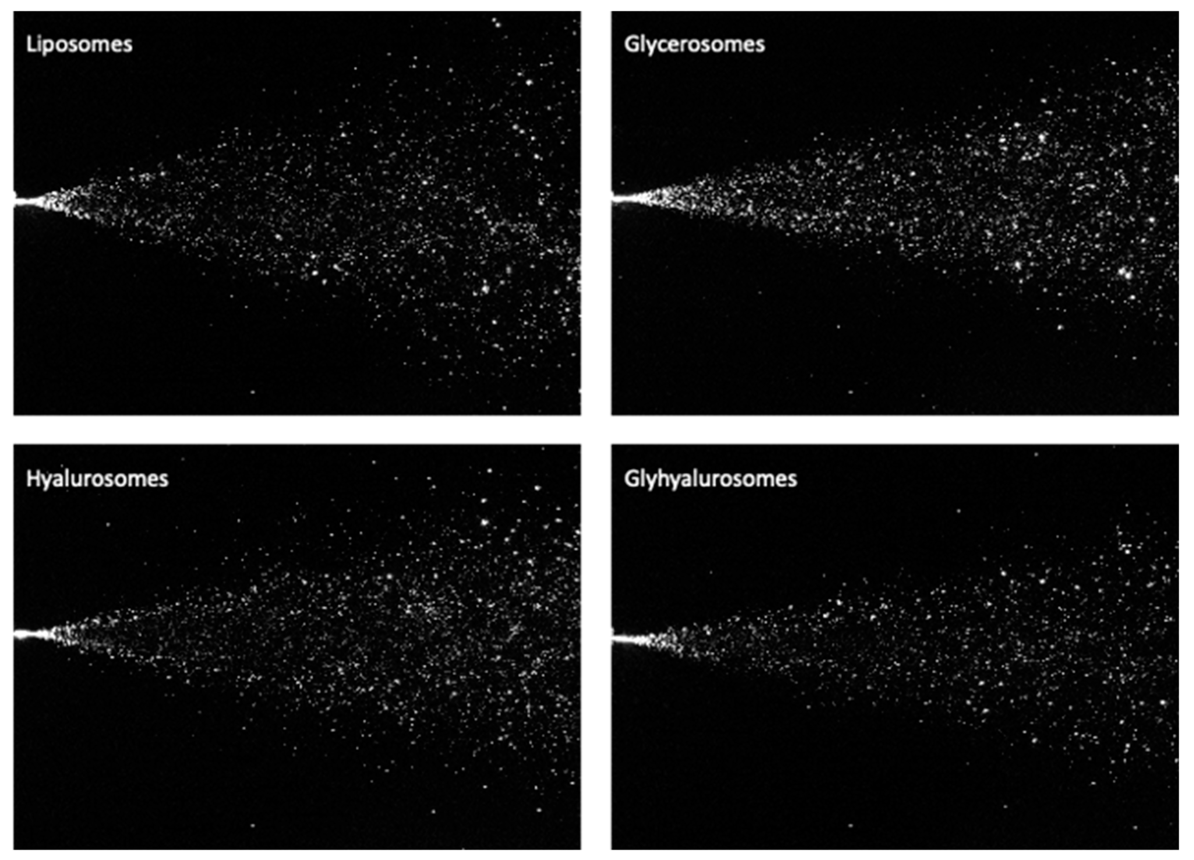 Antioxidants 10 01109 g005