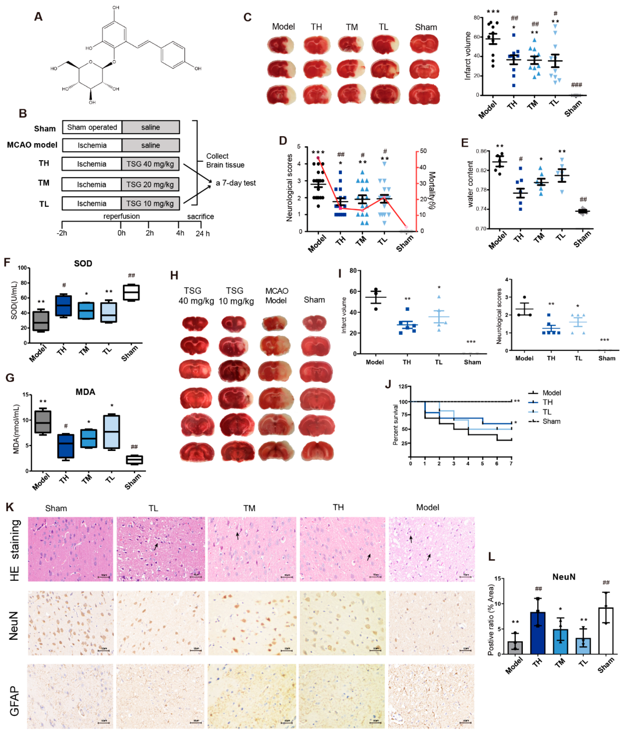 Antioxidants 10 01112 g001