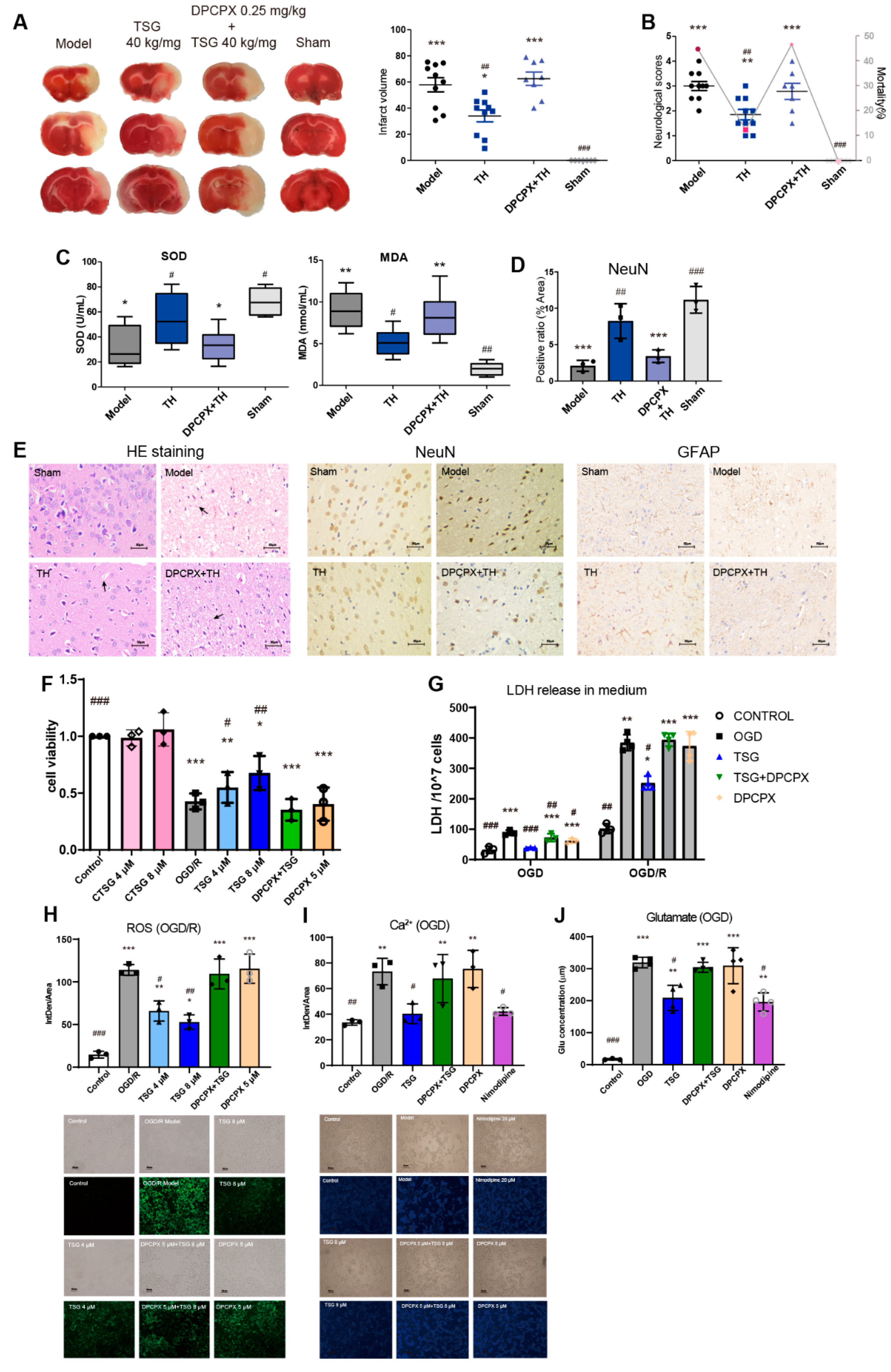 Antioxidants 10 01112 g004