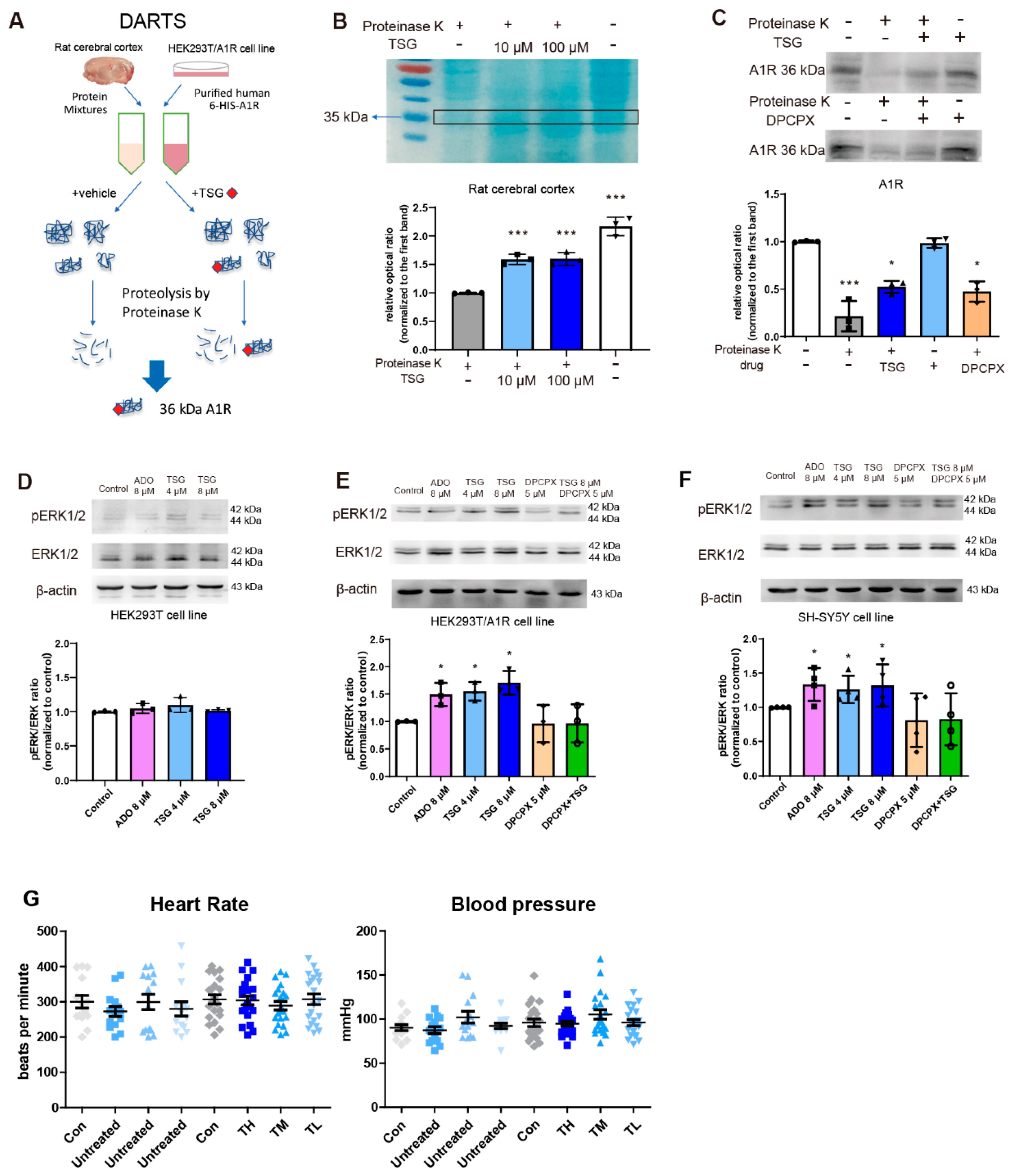 Antioxidants 10 01112 g006