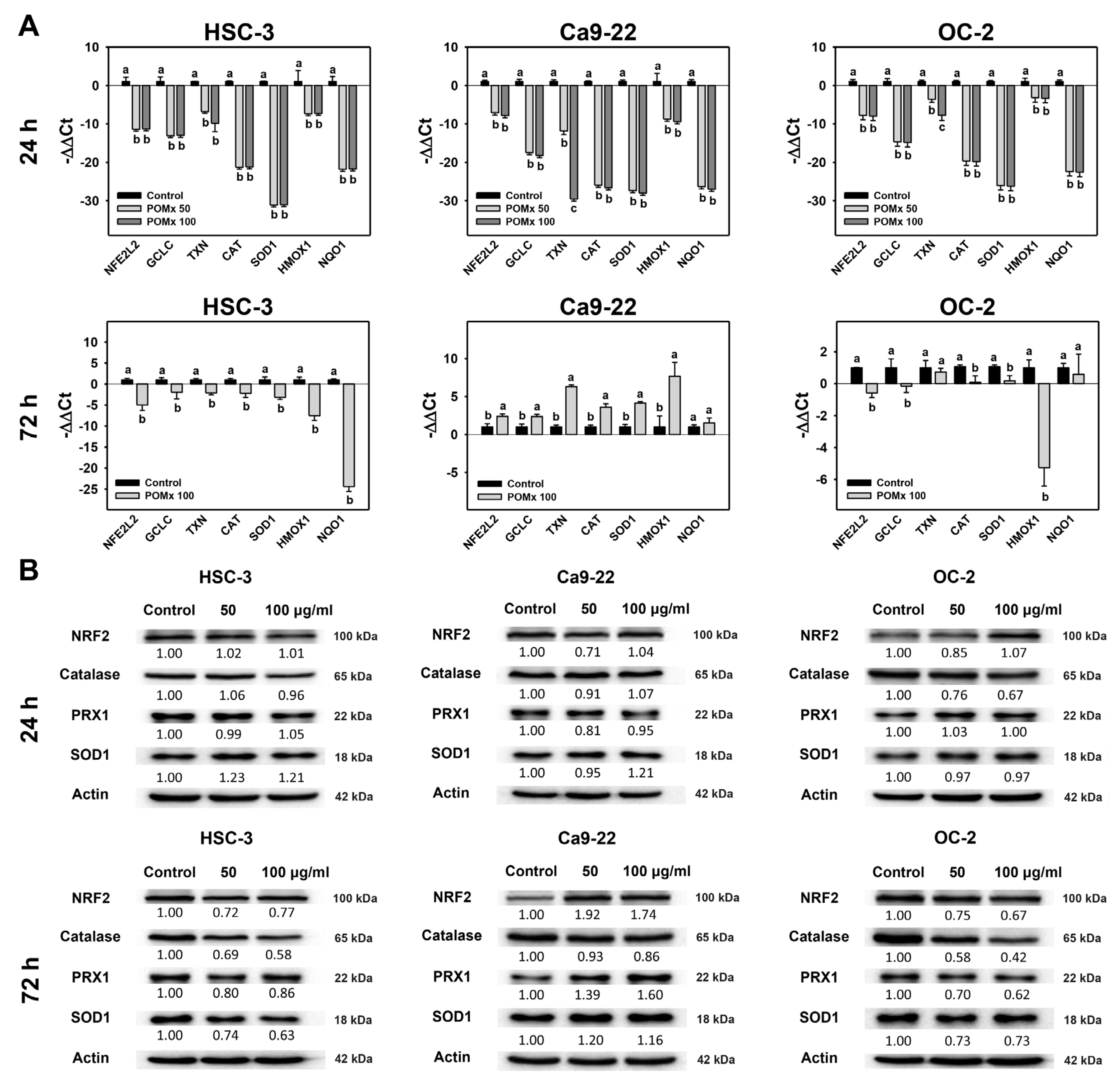 Antioxidants 10 01117 g007 Antioxidants 10 01117 g007