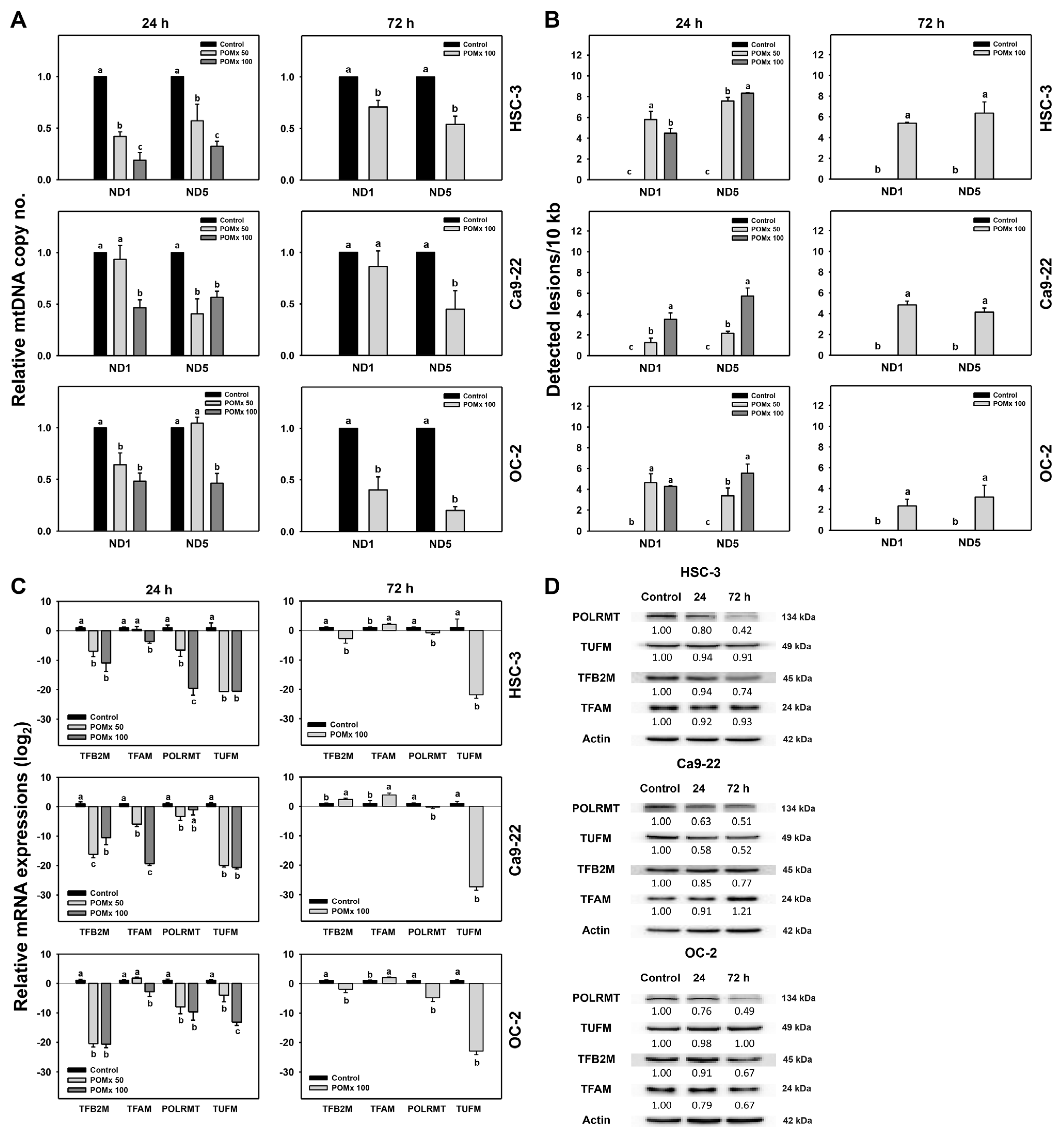 Antioxidants 10 01117 g009 Antioxidants 10 01117 g009