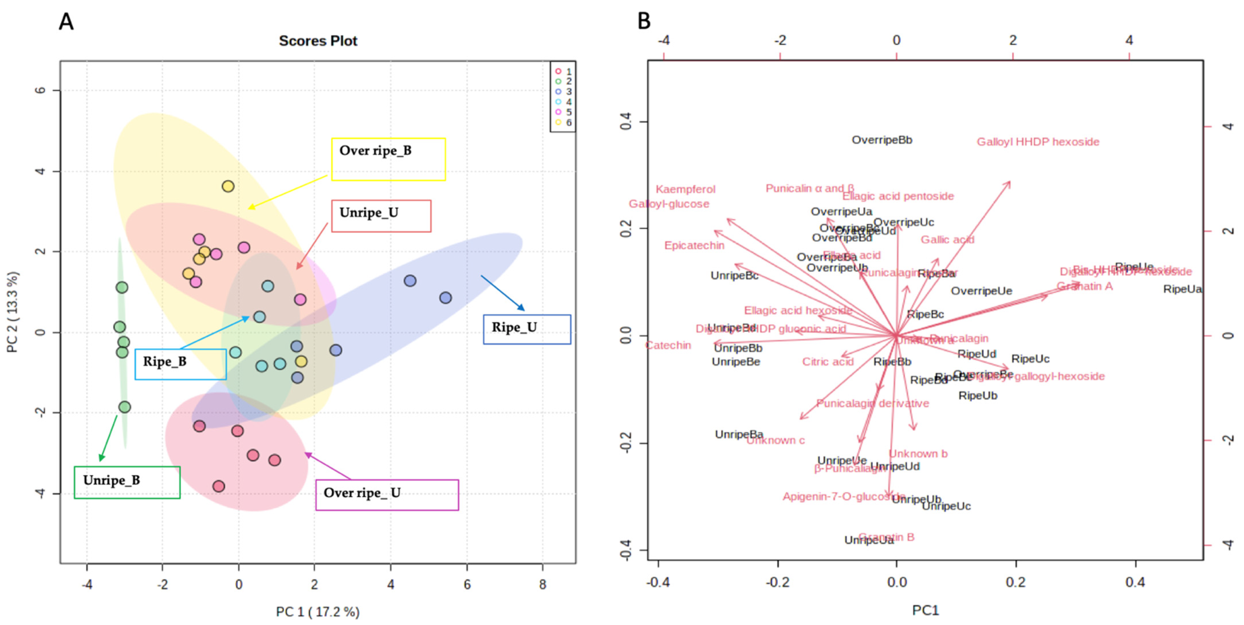 Antioxidants 10 01119 g001 550