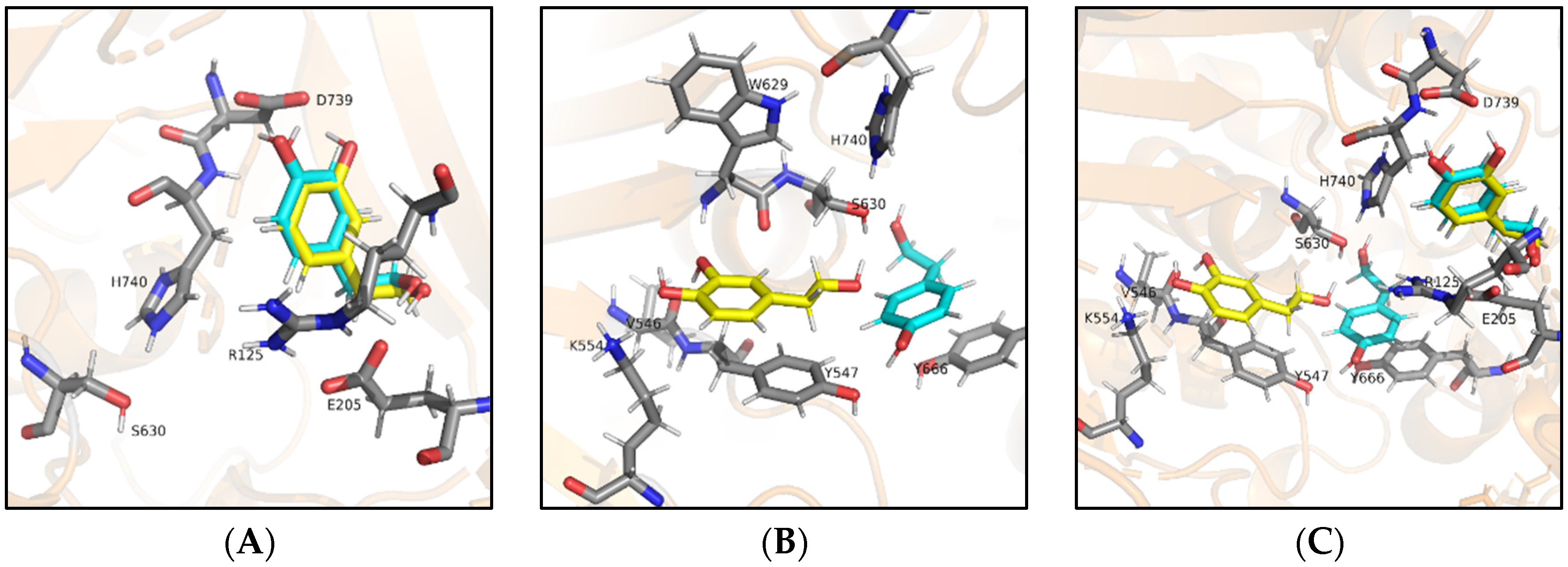 Antioxidants 10 01133 g006
