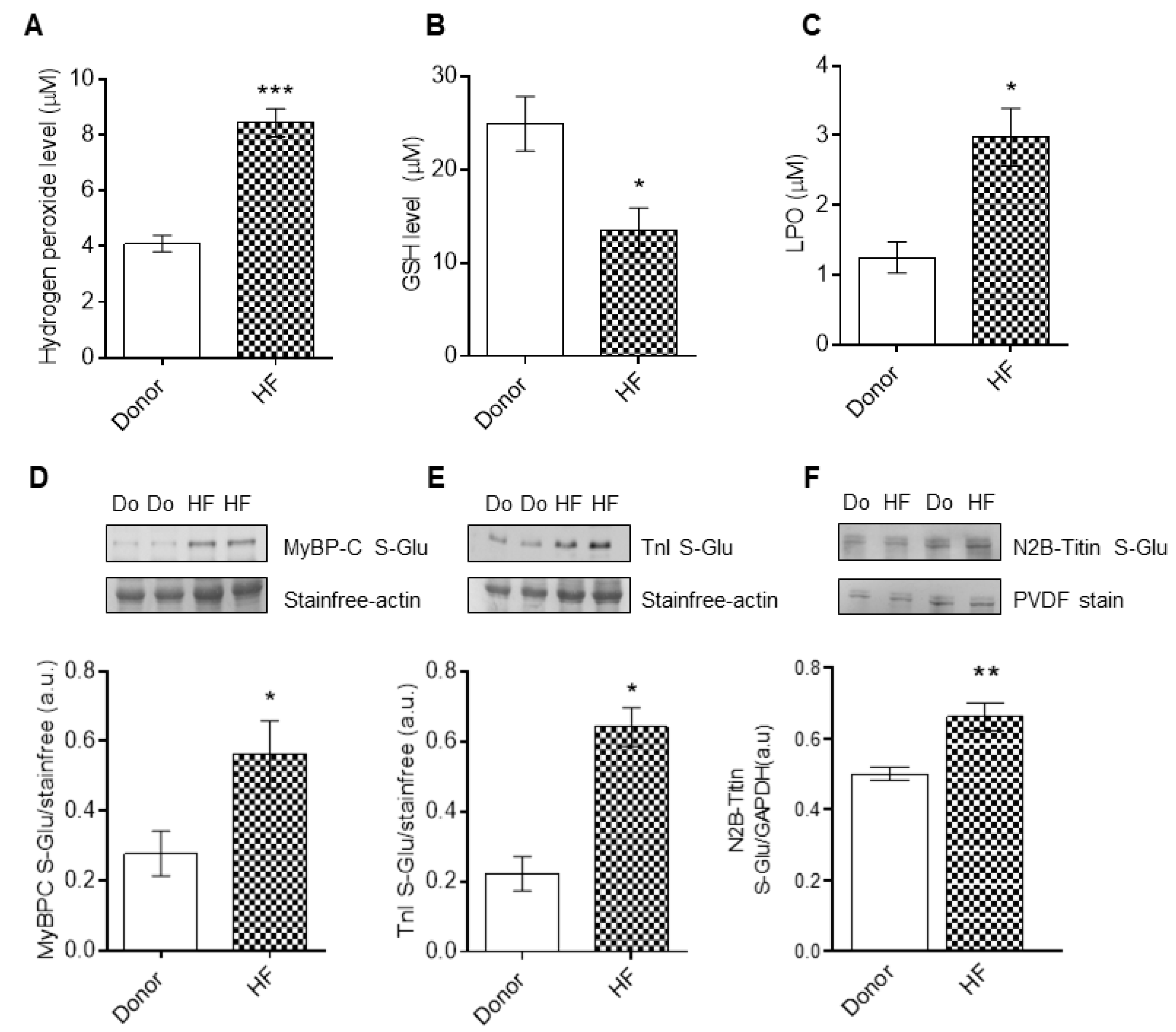 Antioxidants 10 01134 g003