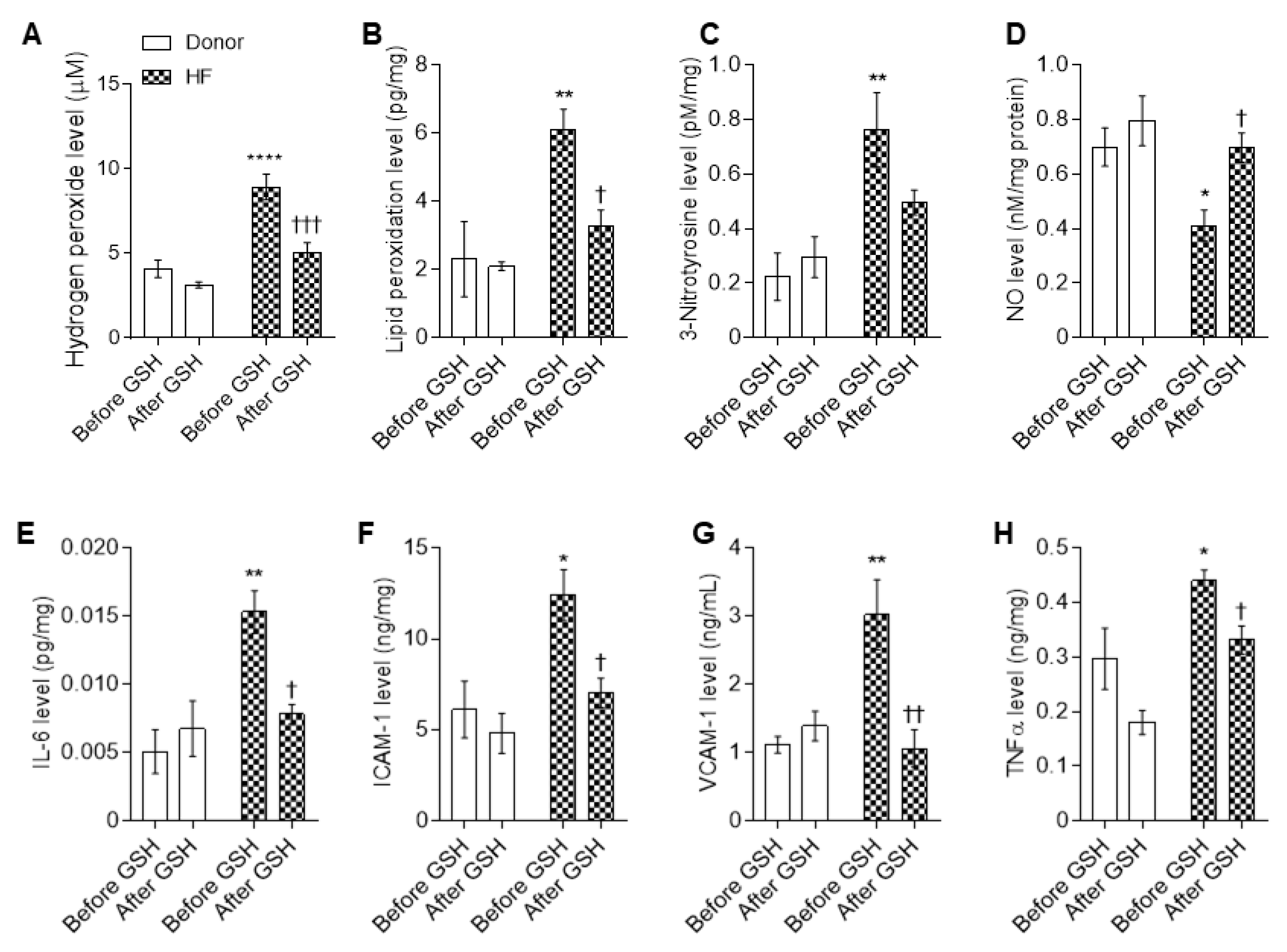 Antioxidants 10 01134 g008