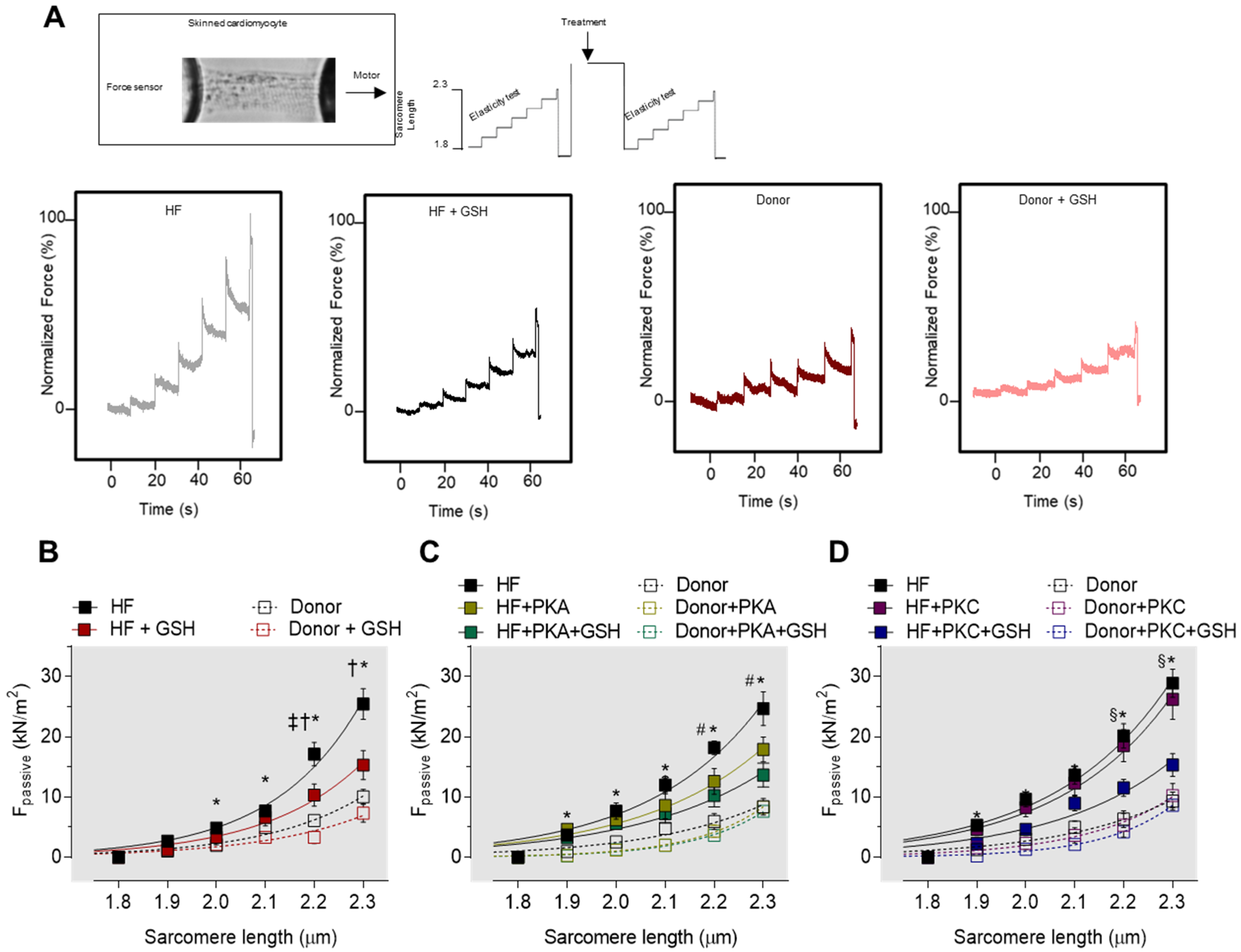 Antioxidants 10 01134 g009