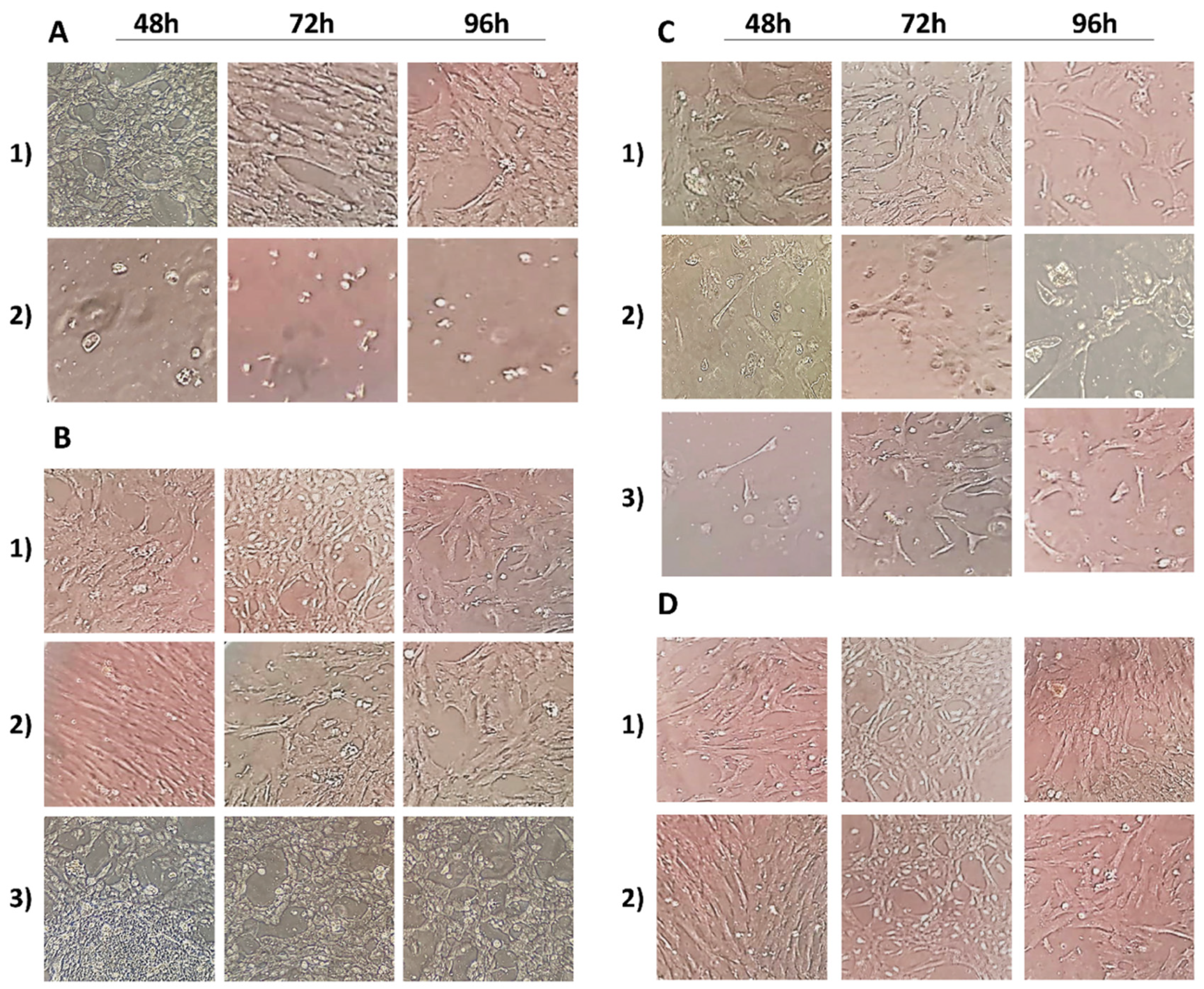 Antioxidants 10 01137 g001