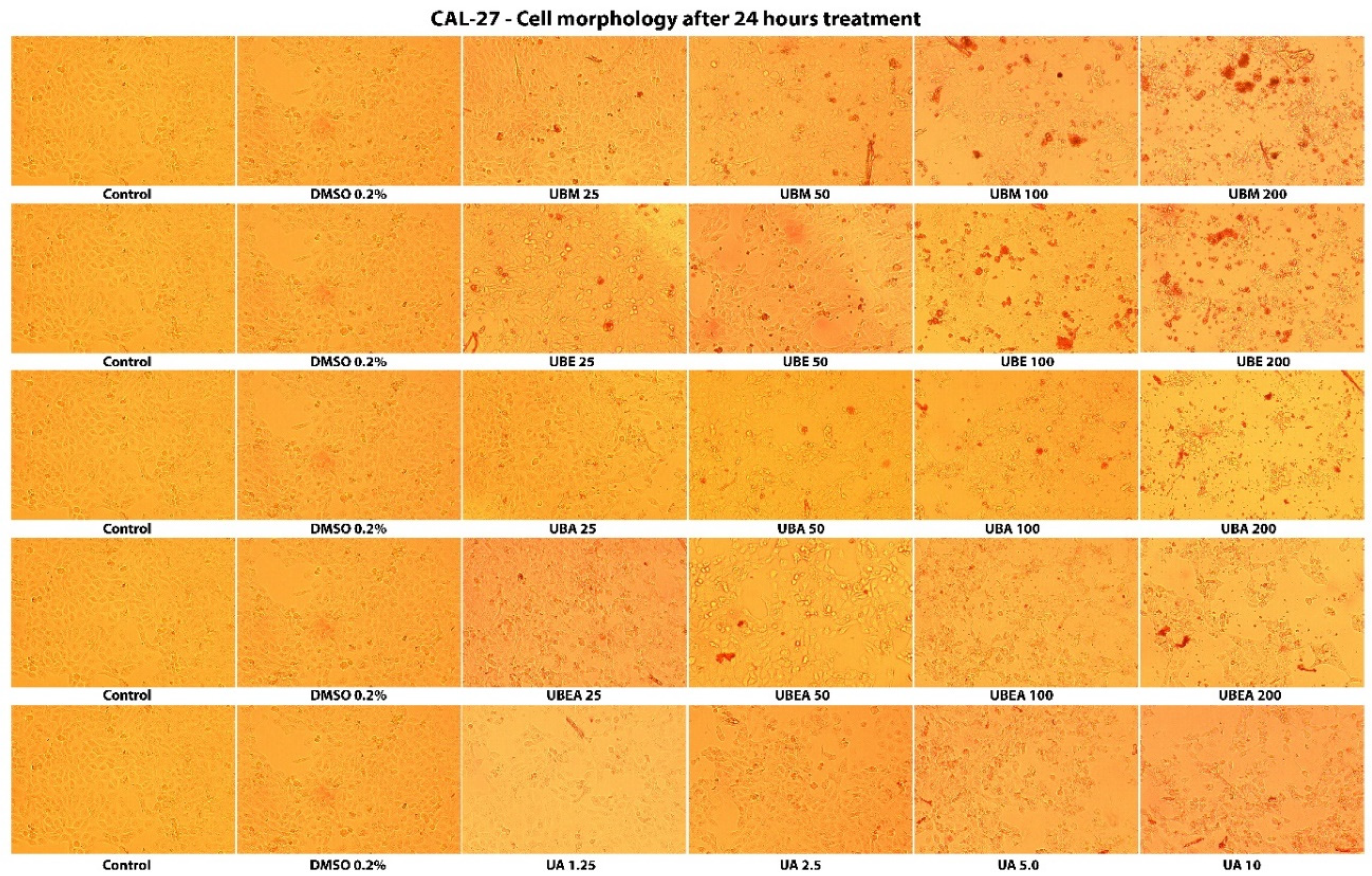 Antioxidants 10 01141 g006 550