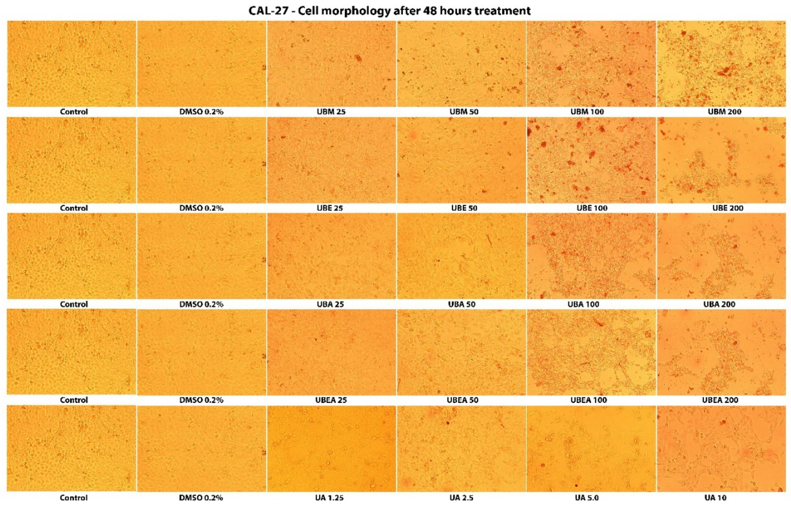 Antioxidants 10 01141 g007 550