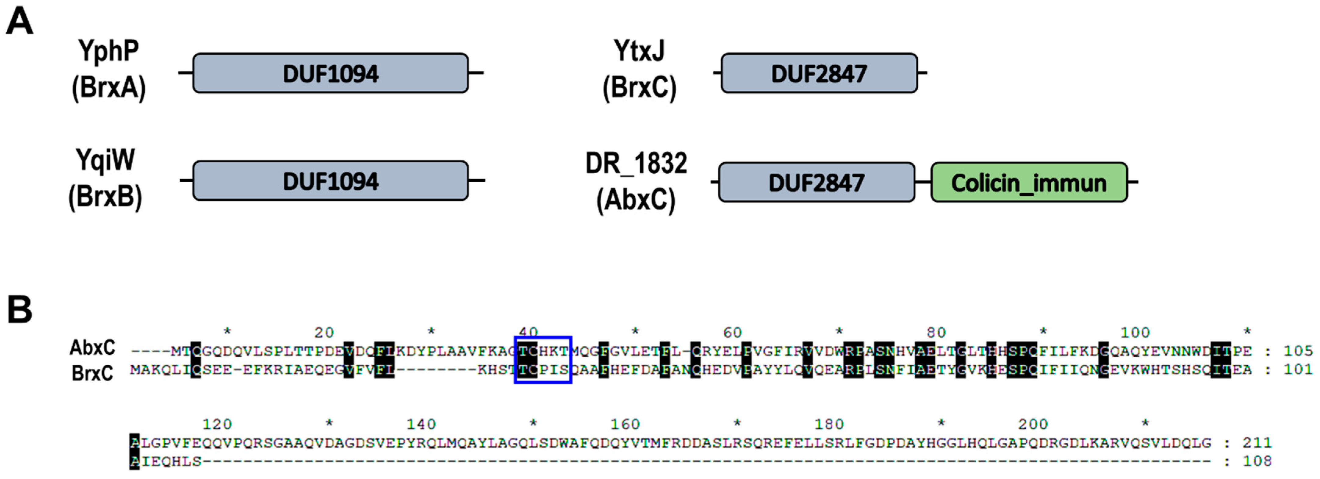 Ionizing Radiation Resistance in Deinococcus Radiodurans